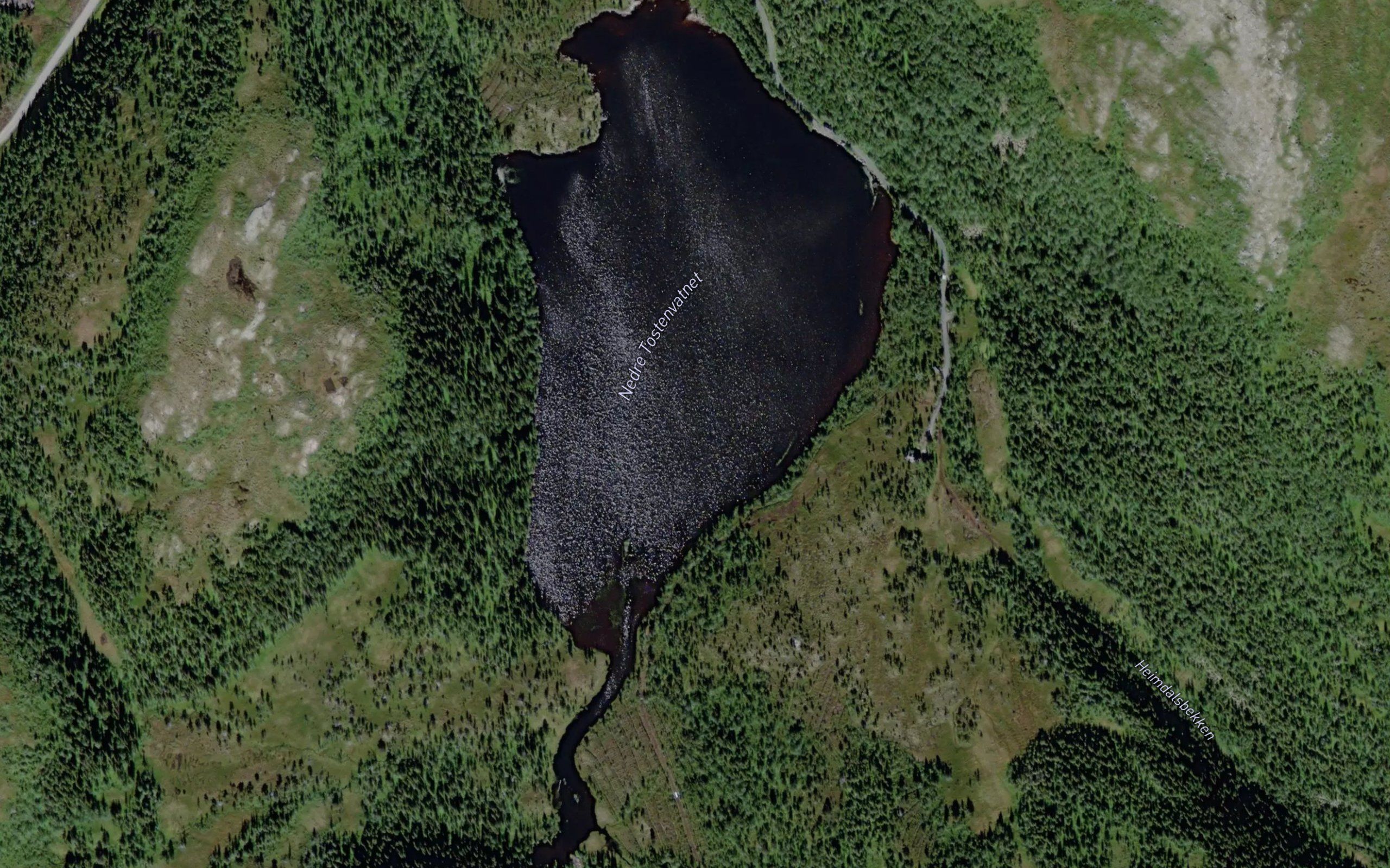 Ner Tostenvatnet