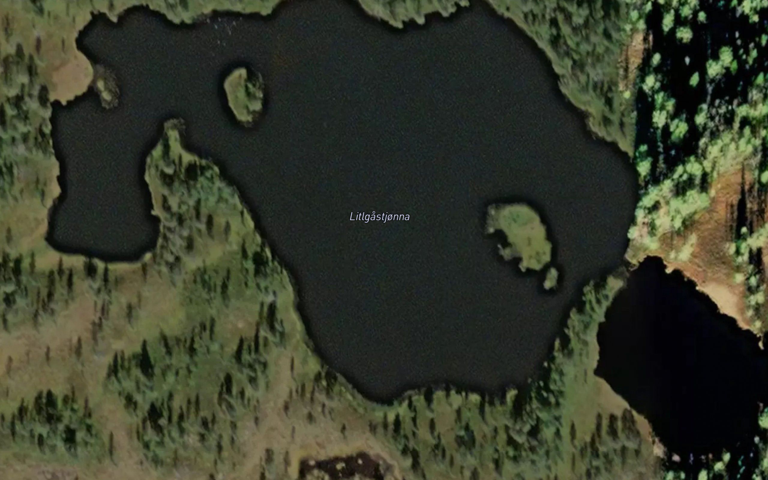 Litlgastjorna