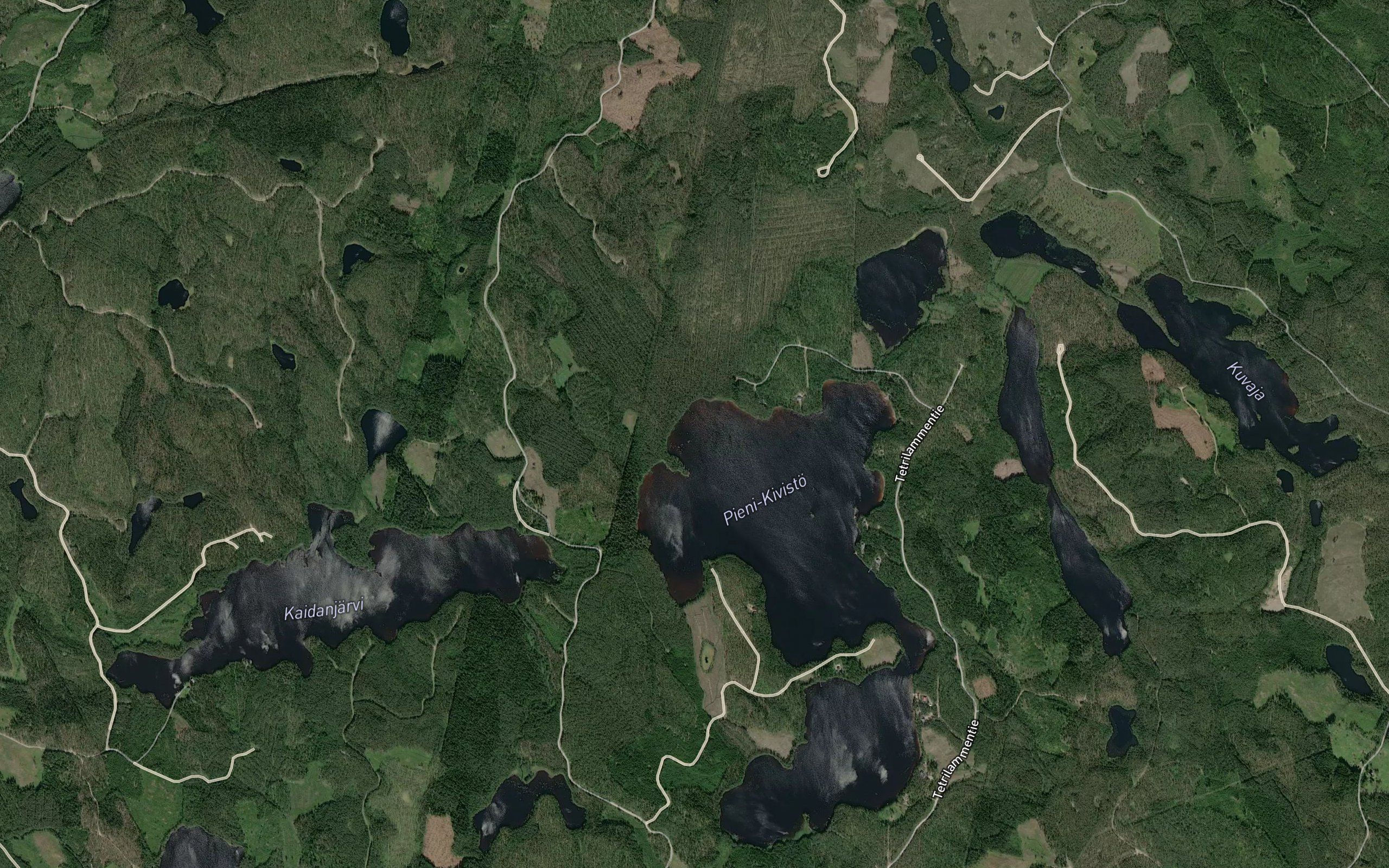 Levialahti