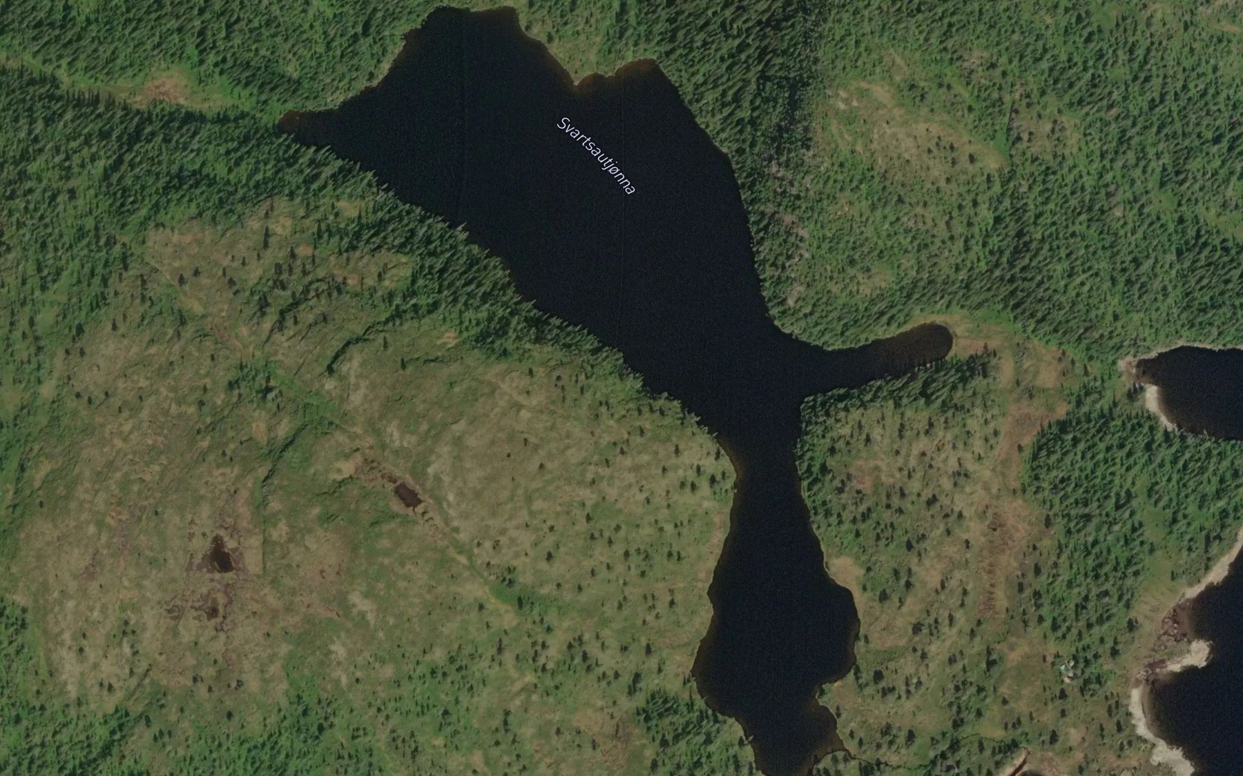 Satellite map of the Svartsautjonna