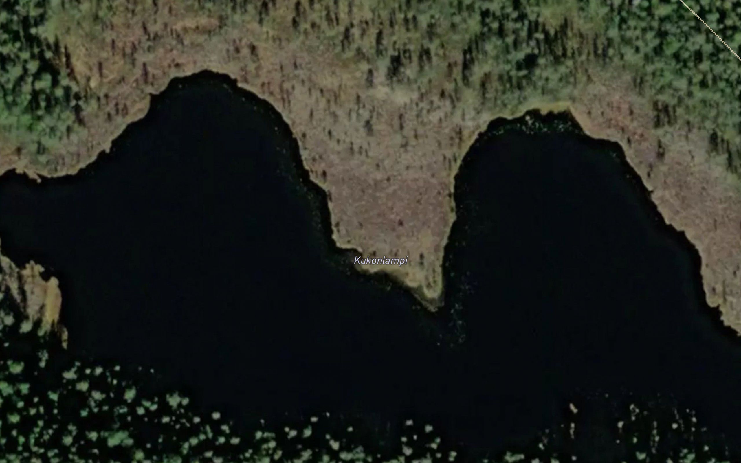 Kukonlampi