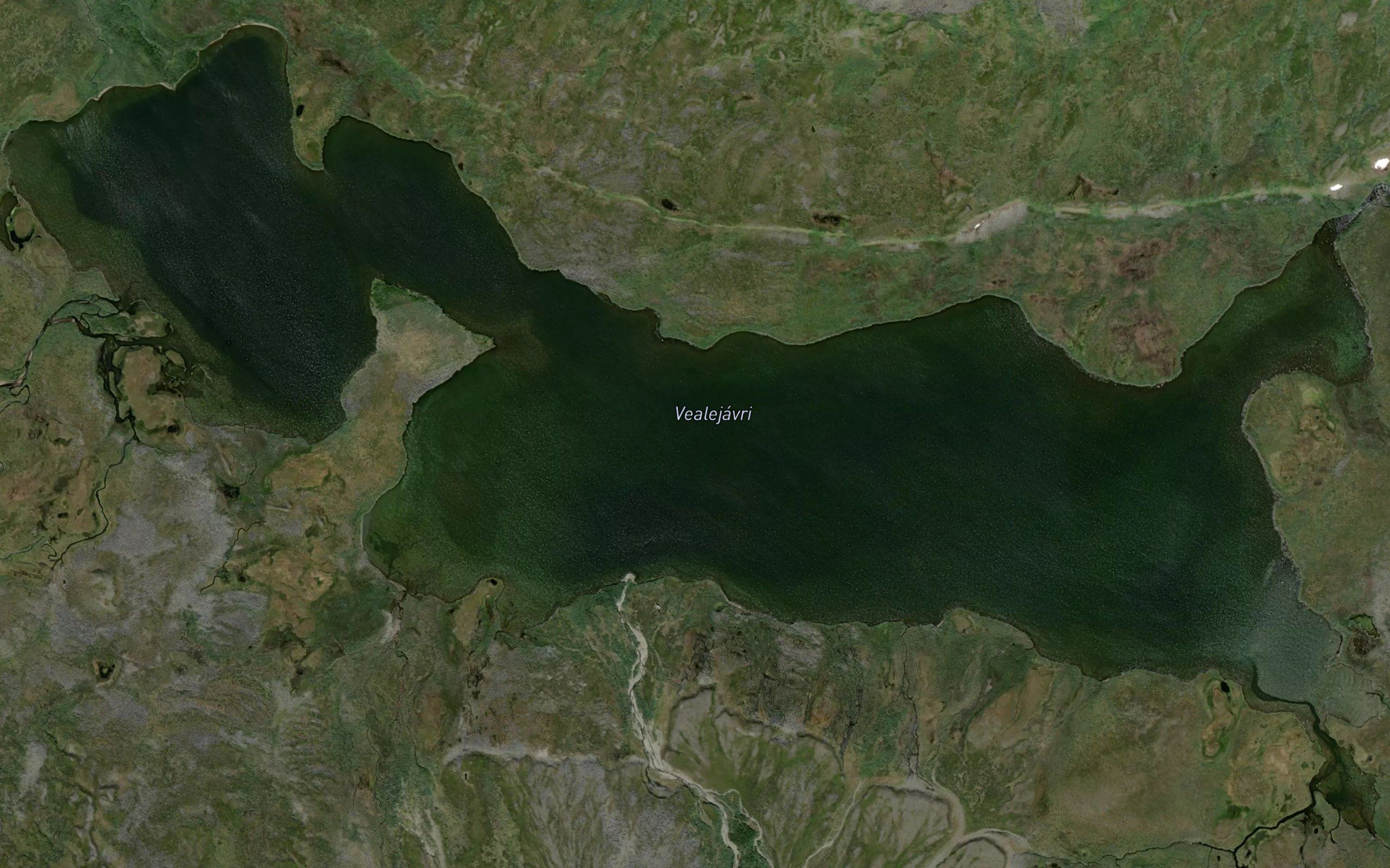 Vealejavri