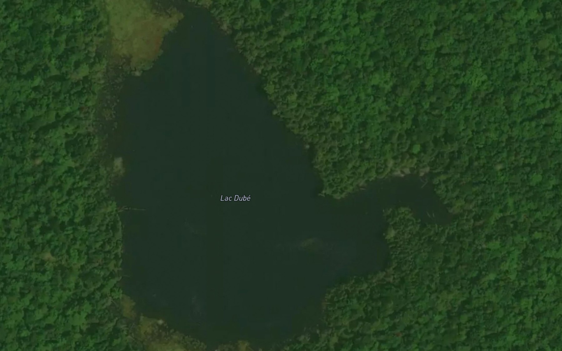 Satellite map of the Lac Dube