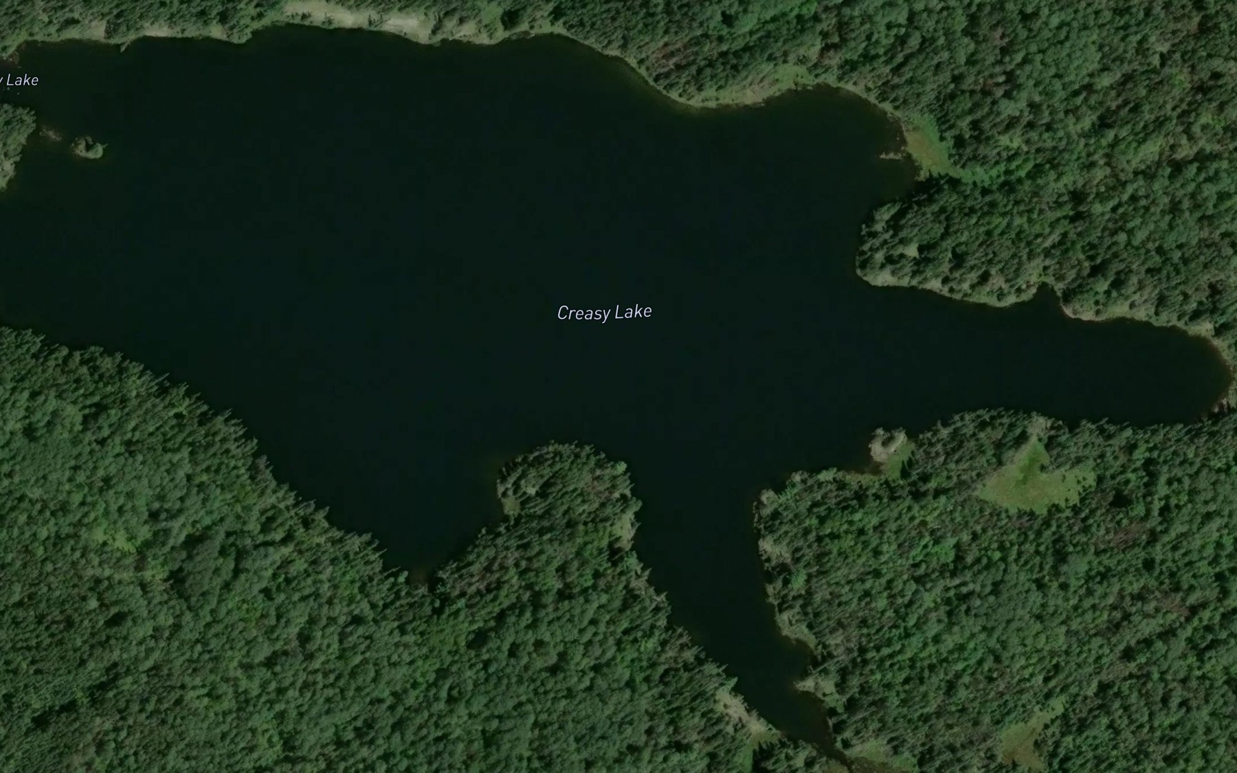 Satellite map of the Creasy Lake