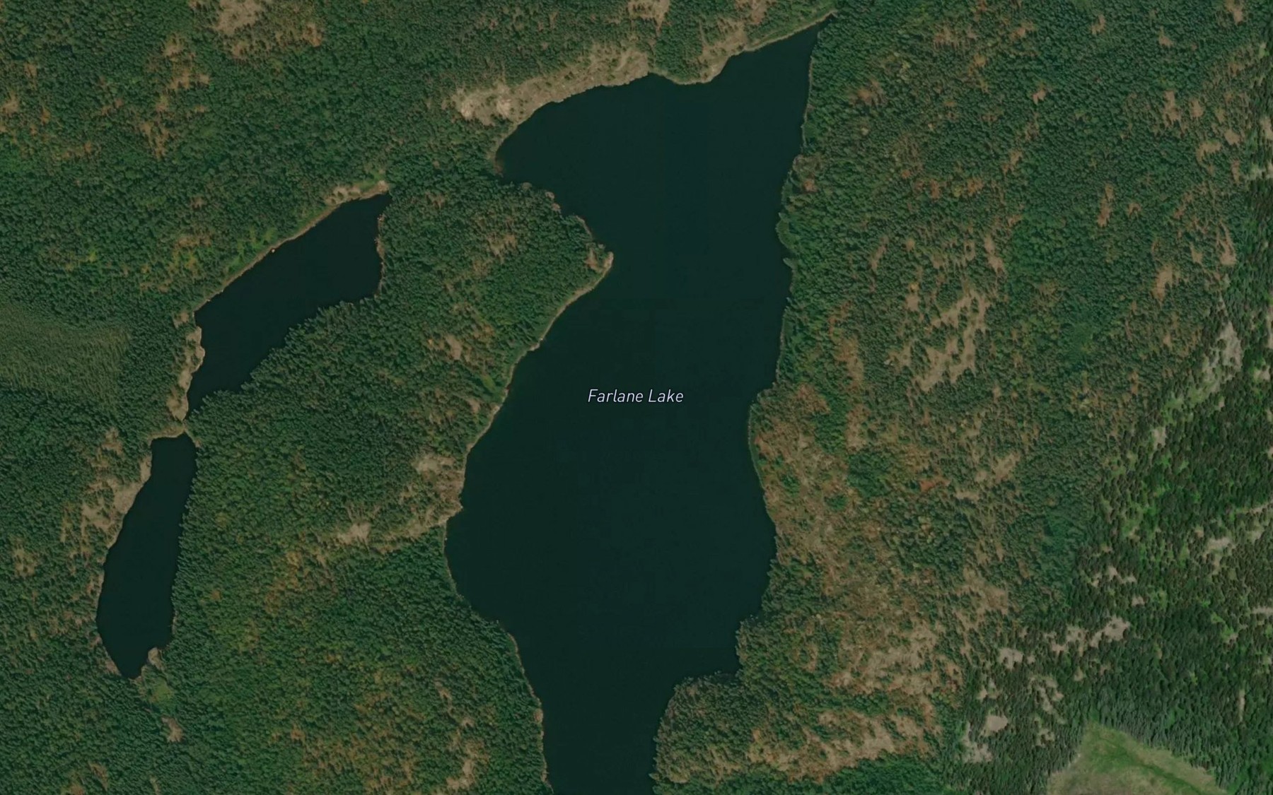 Satellite map of the Farlane Lake
