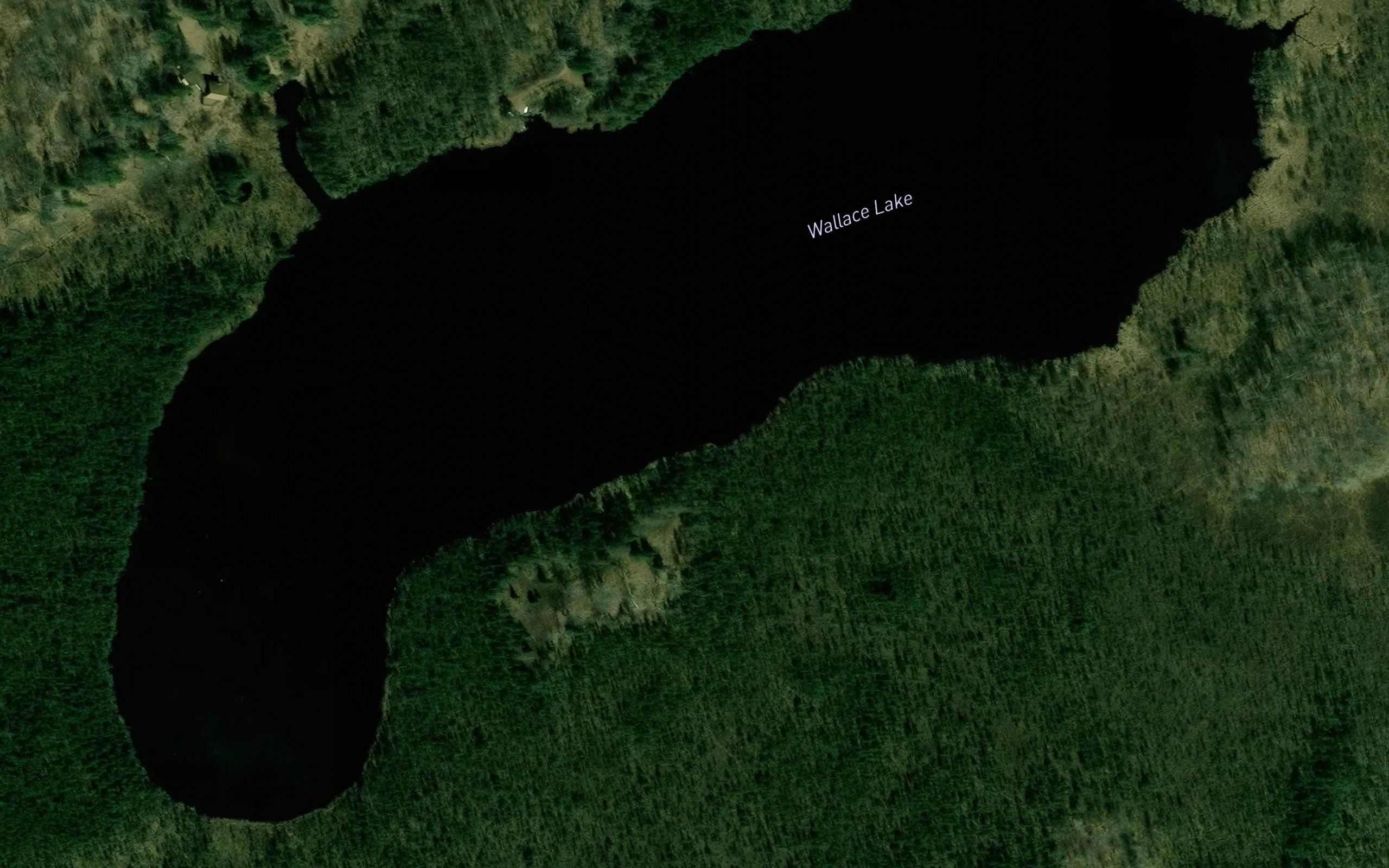 Wallace Lake