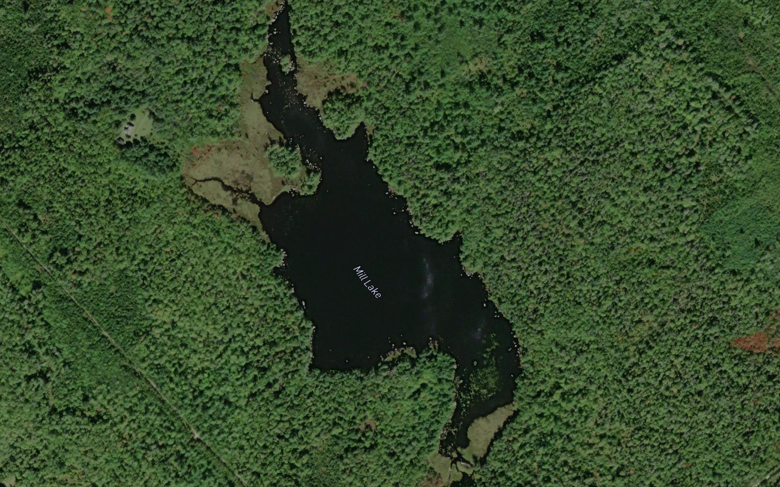Mill Lake