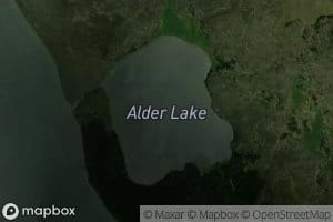 Alder Lake