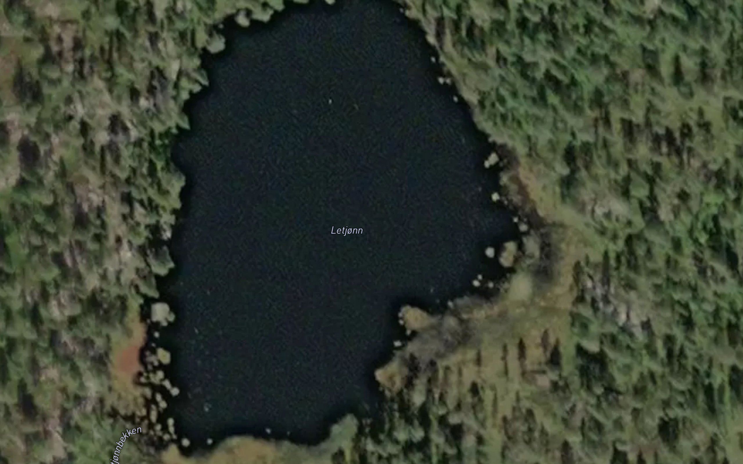 Letjorn