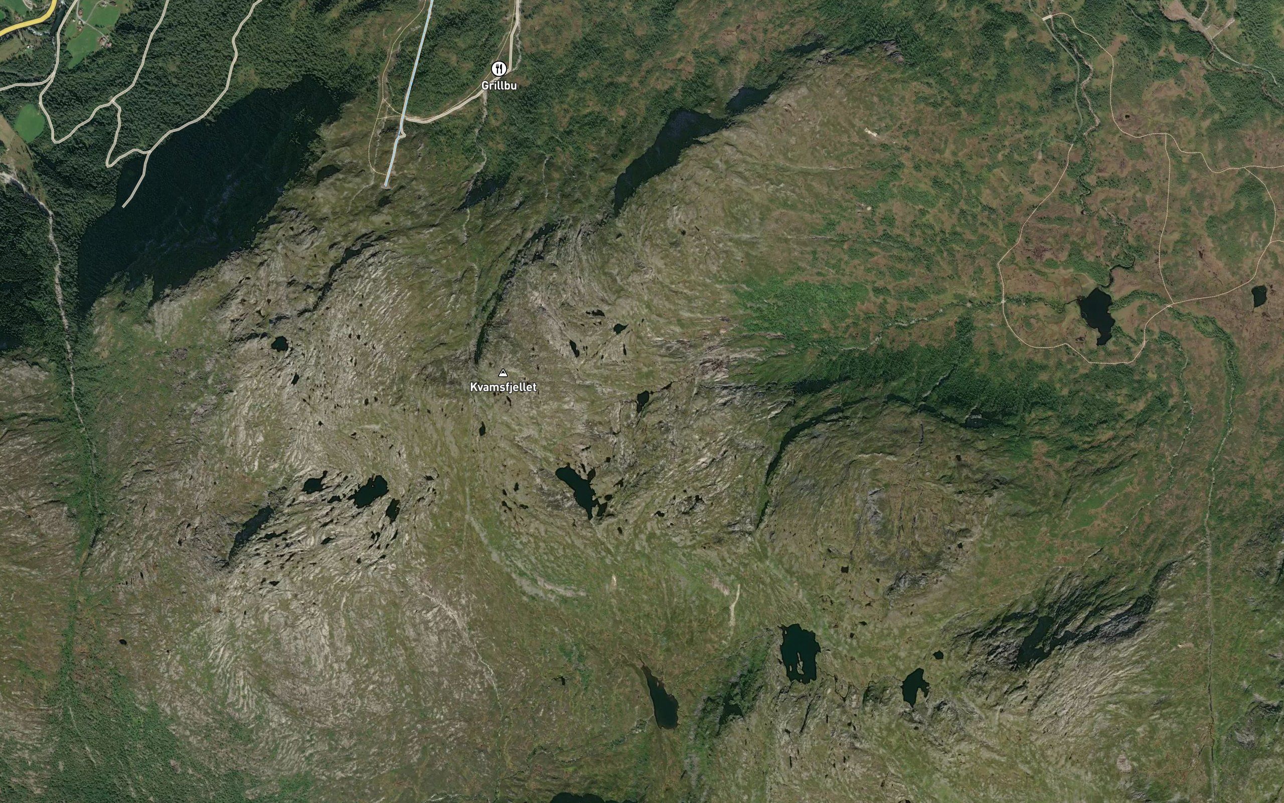 Gronelitjorna