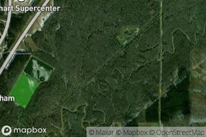 Old Channel Yockanookany River