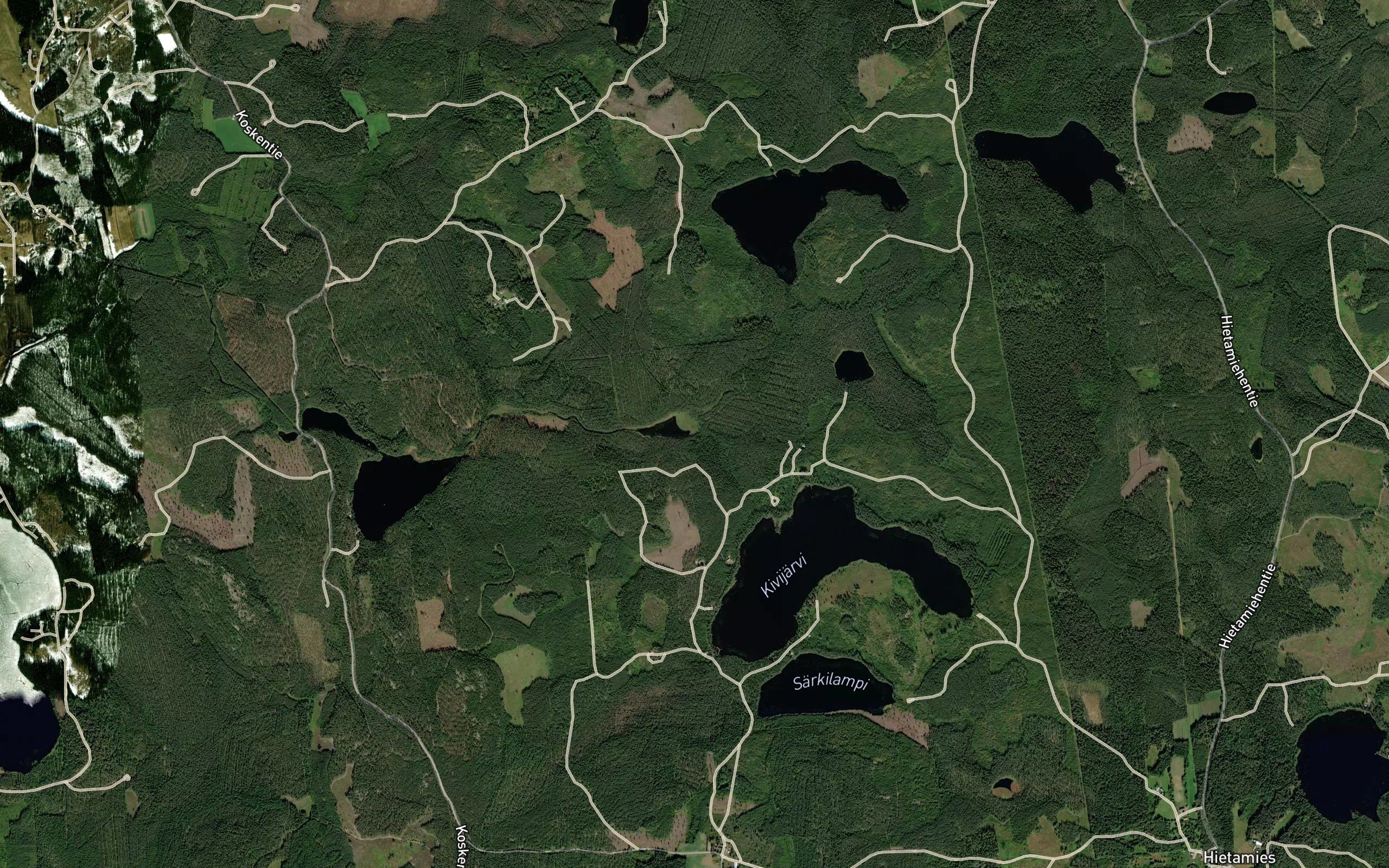 Kortelamminoja