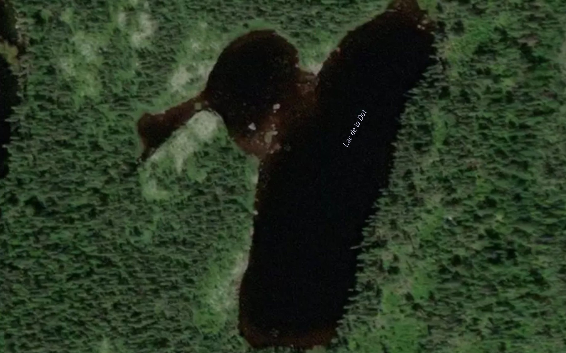 Satellite map of the Lac de la Dot