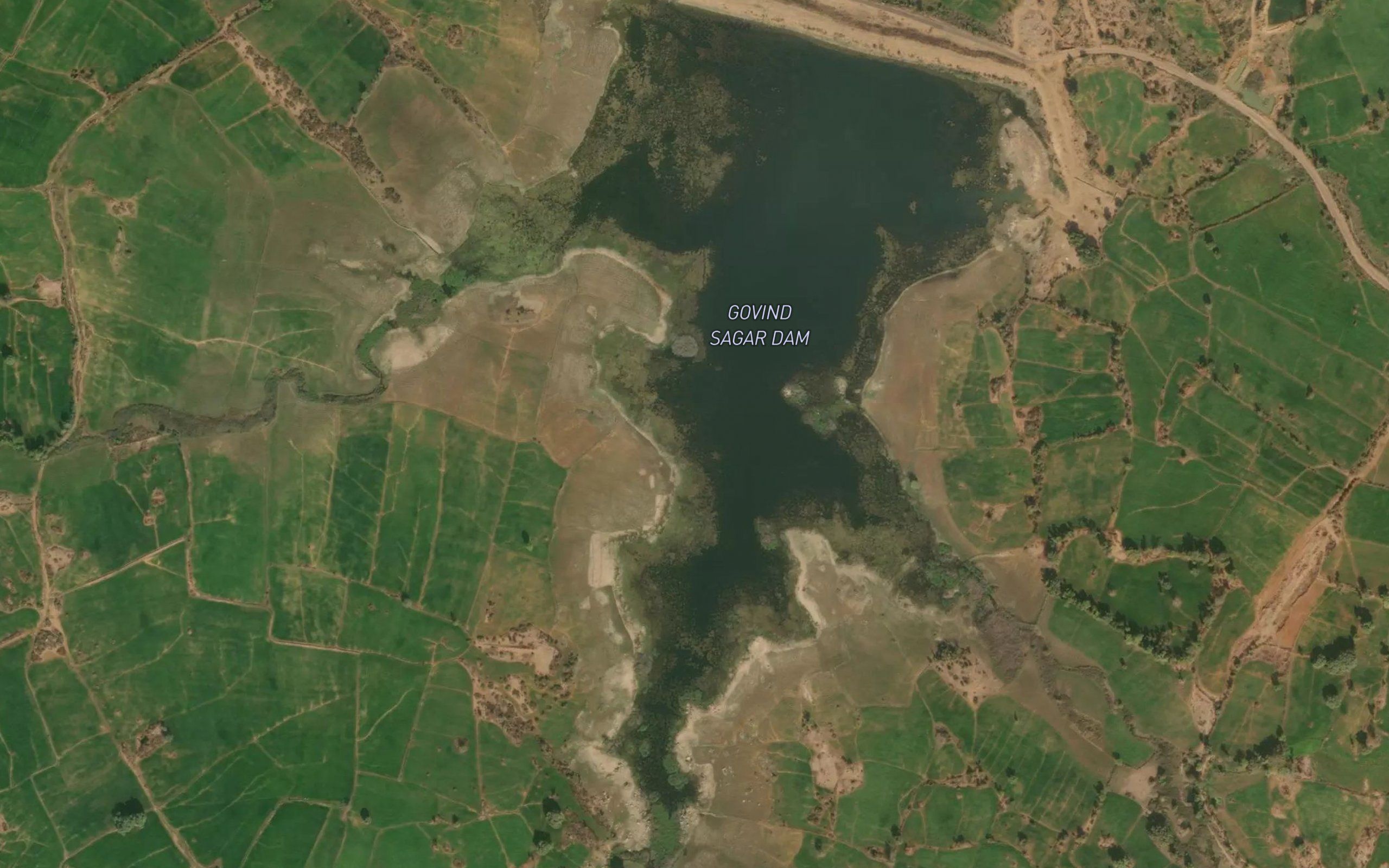 Nanaura Tal