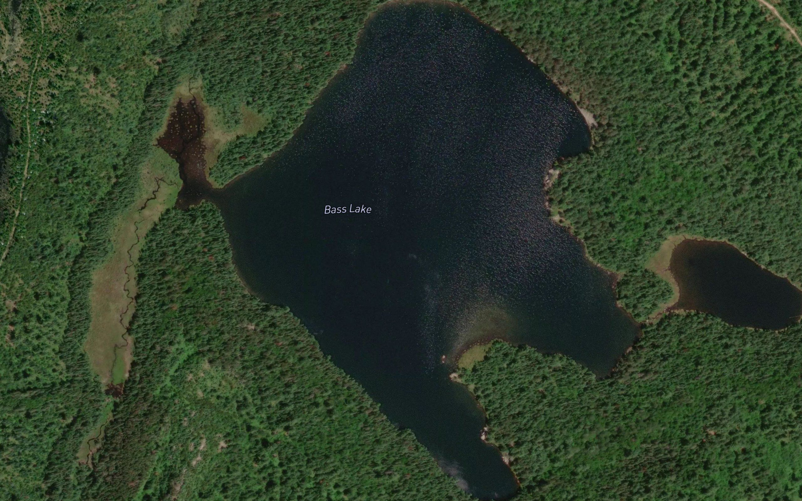 Bass Lake