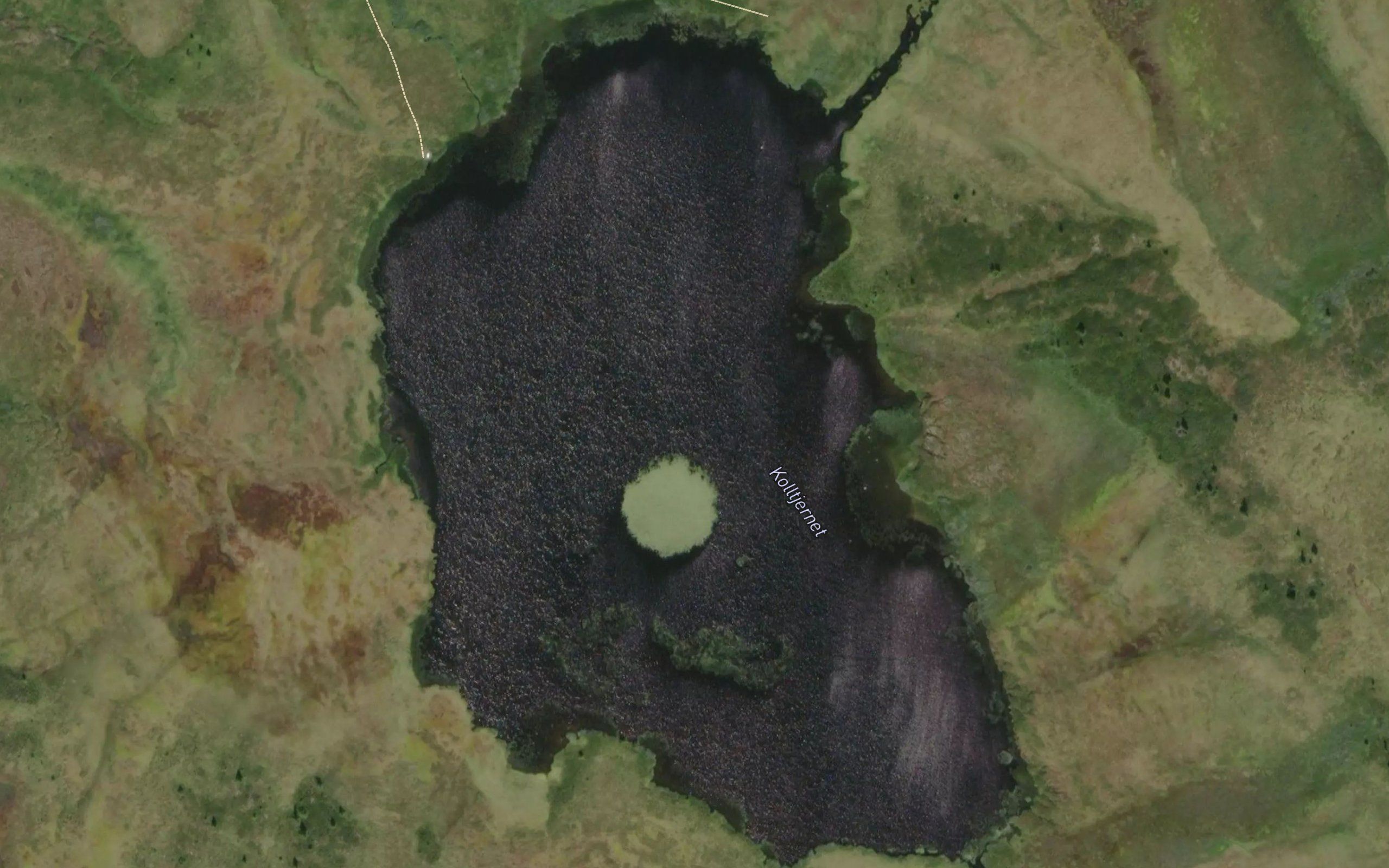 Koltjernet