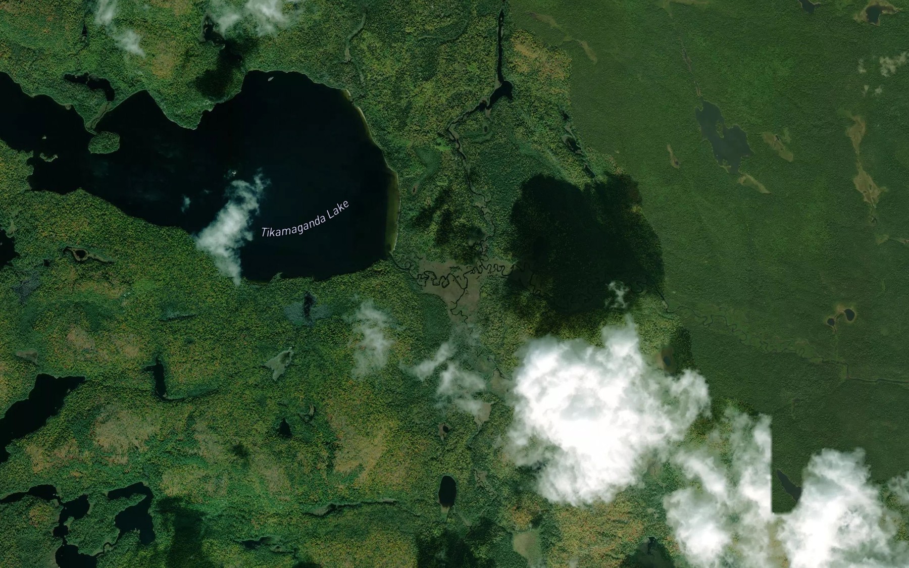 Satellite map of the McEwen Creek