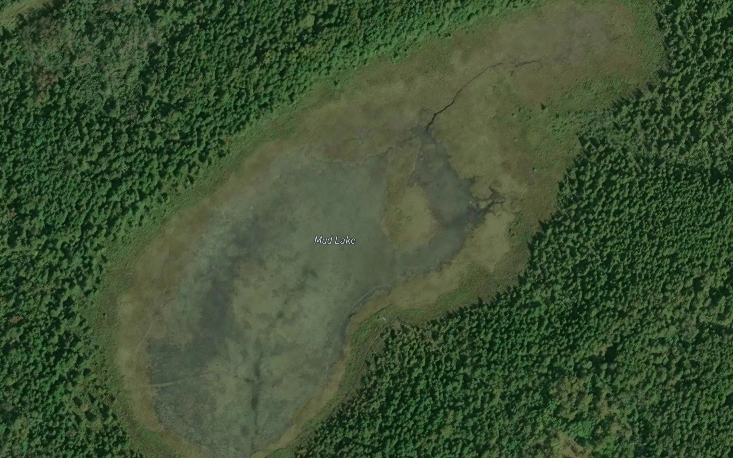 Mud Lake