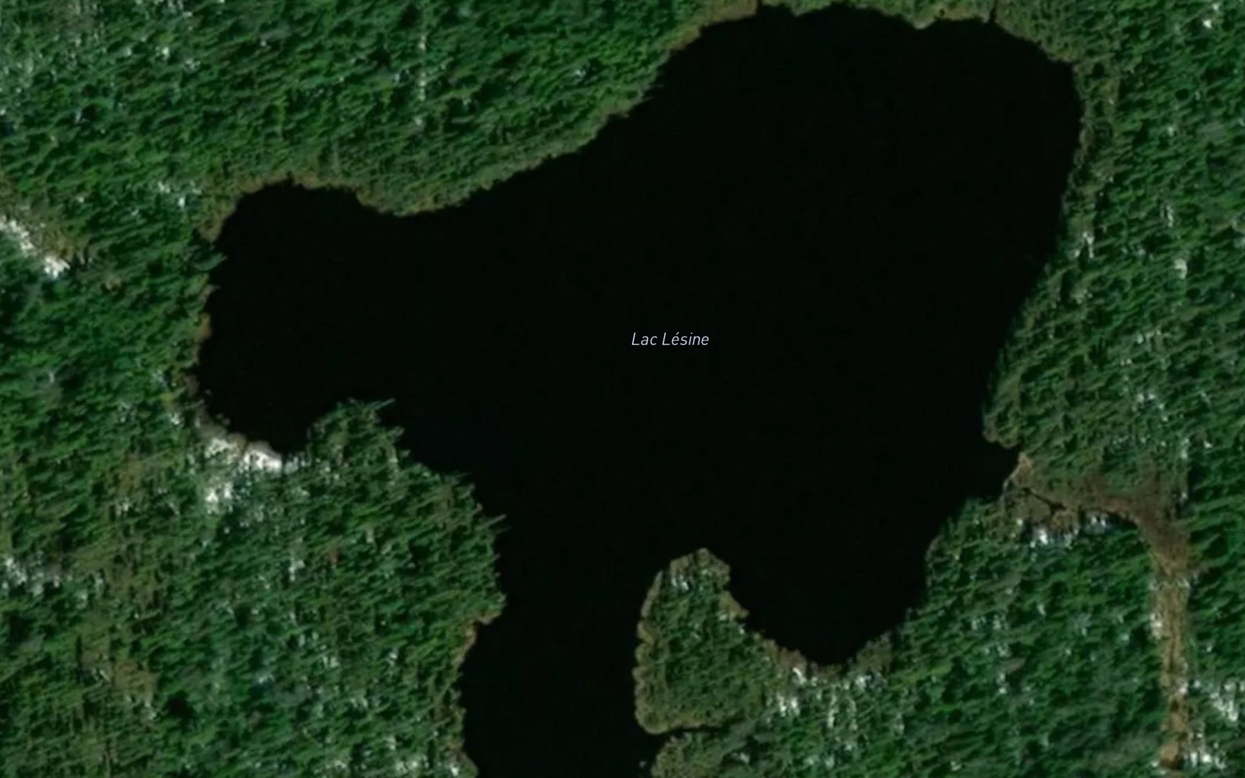 Satellite map of the Lac Lesine