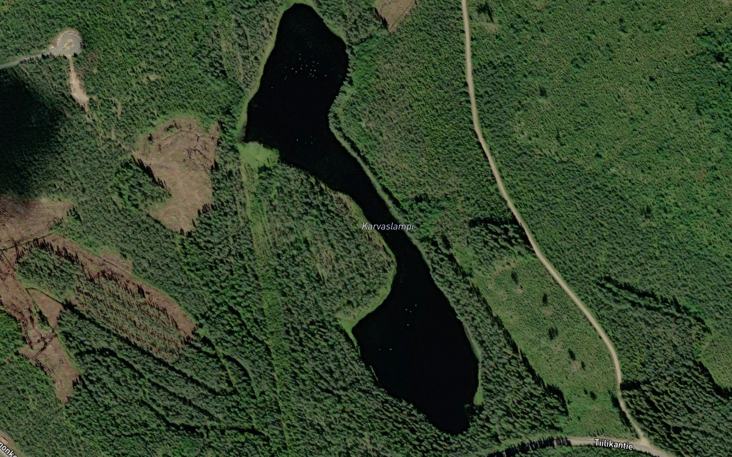 Karvaslampi
