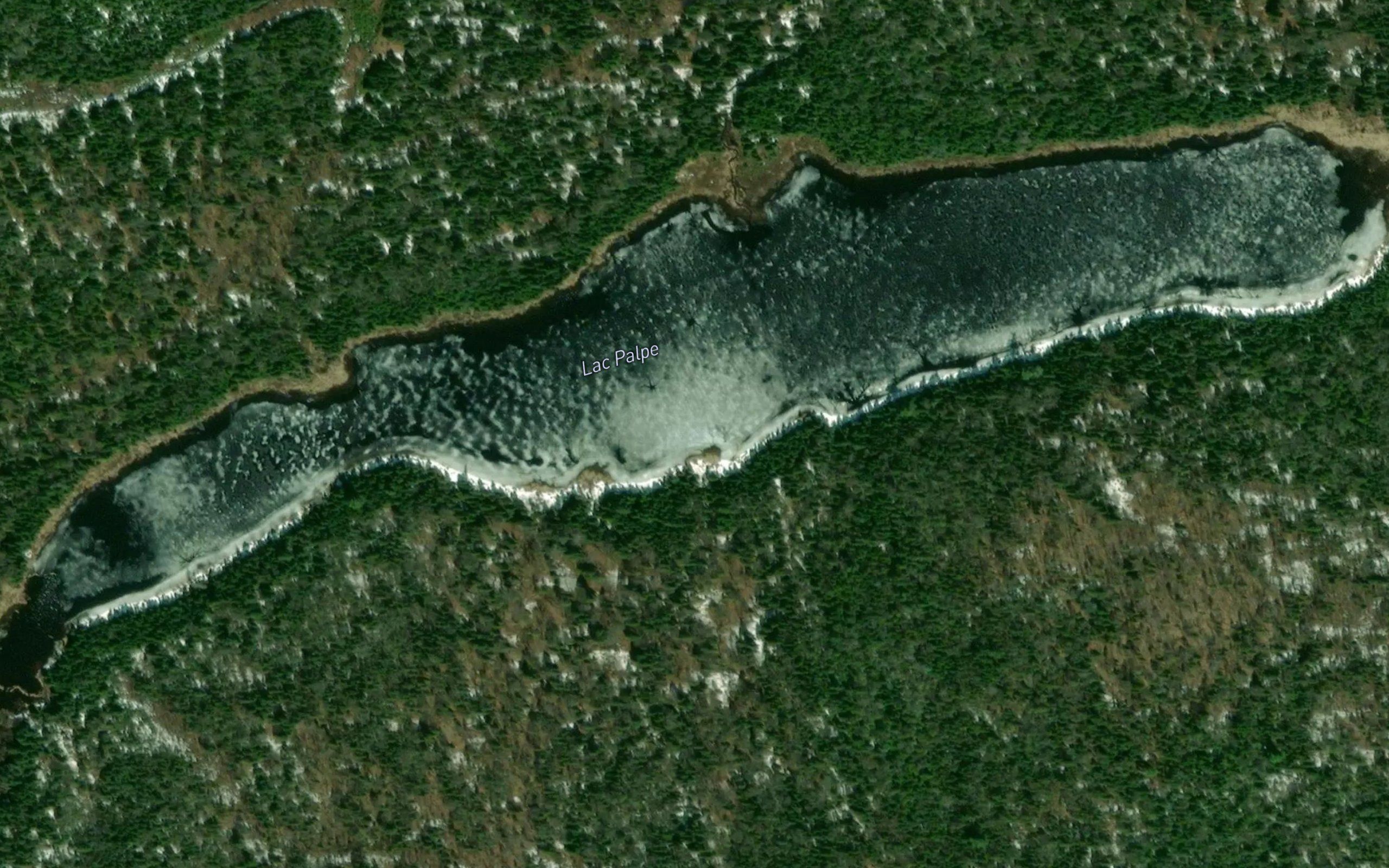 Lac Palpe