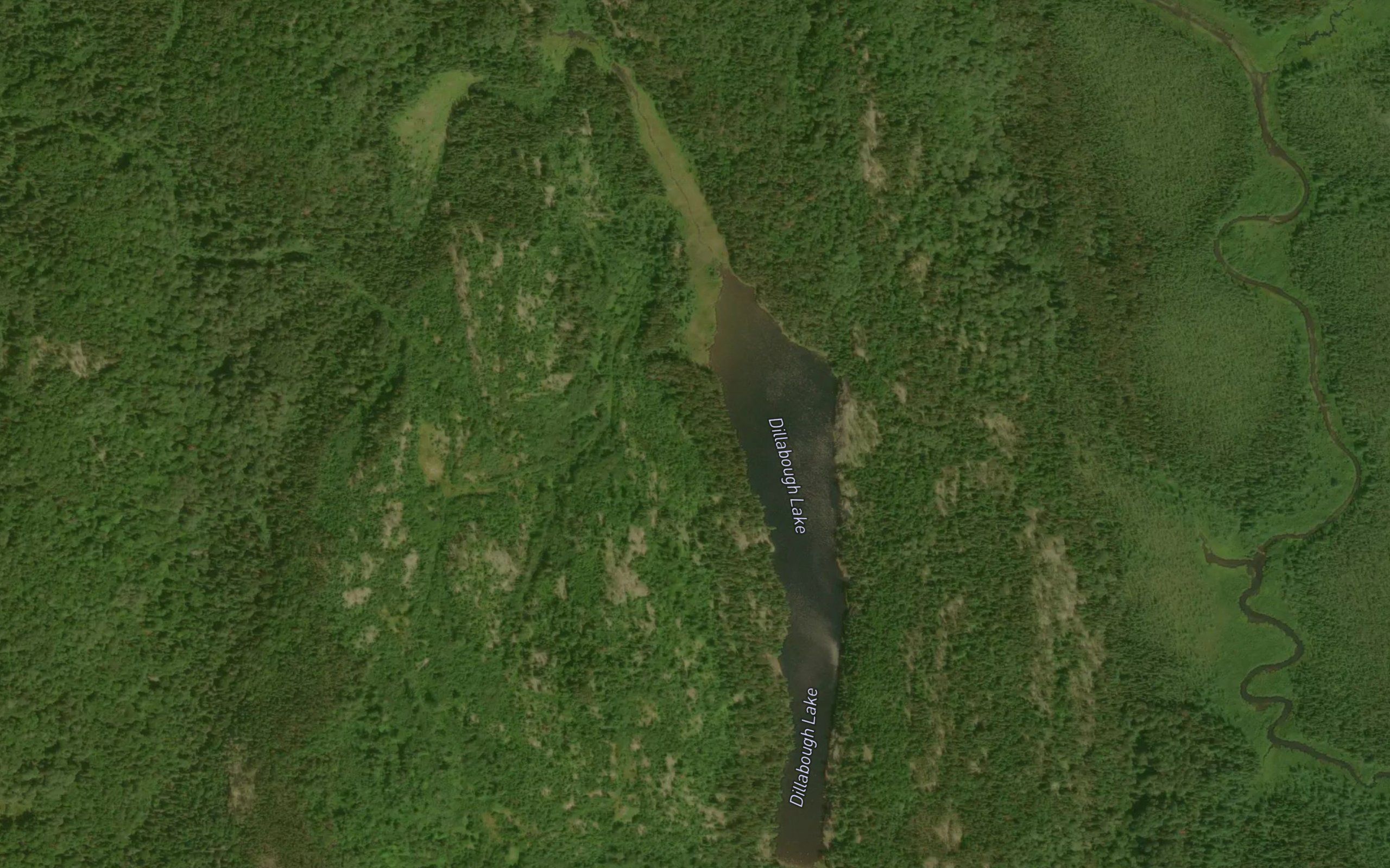 Dillabough Lake