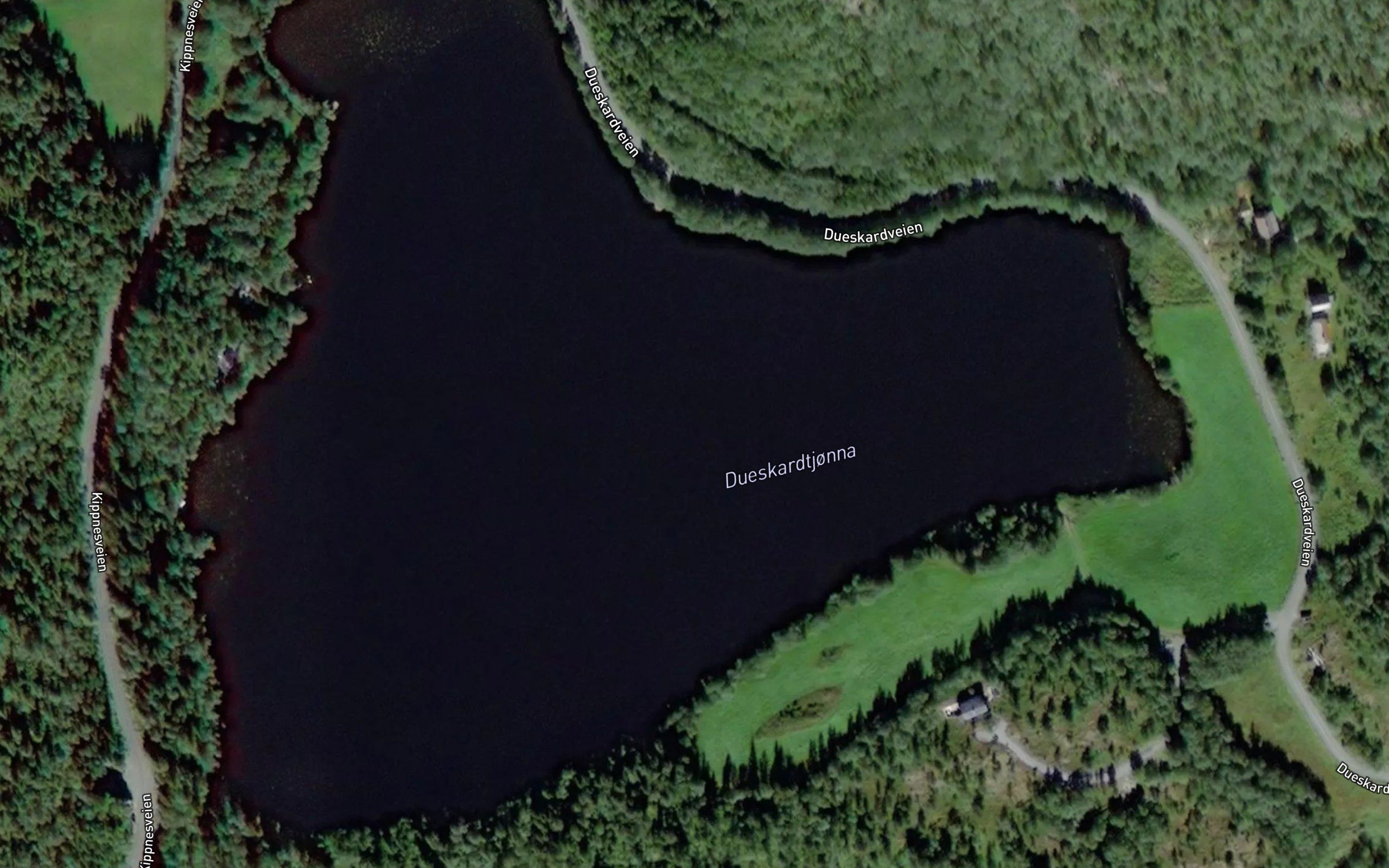 Duskardtjonna