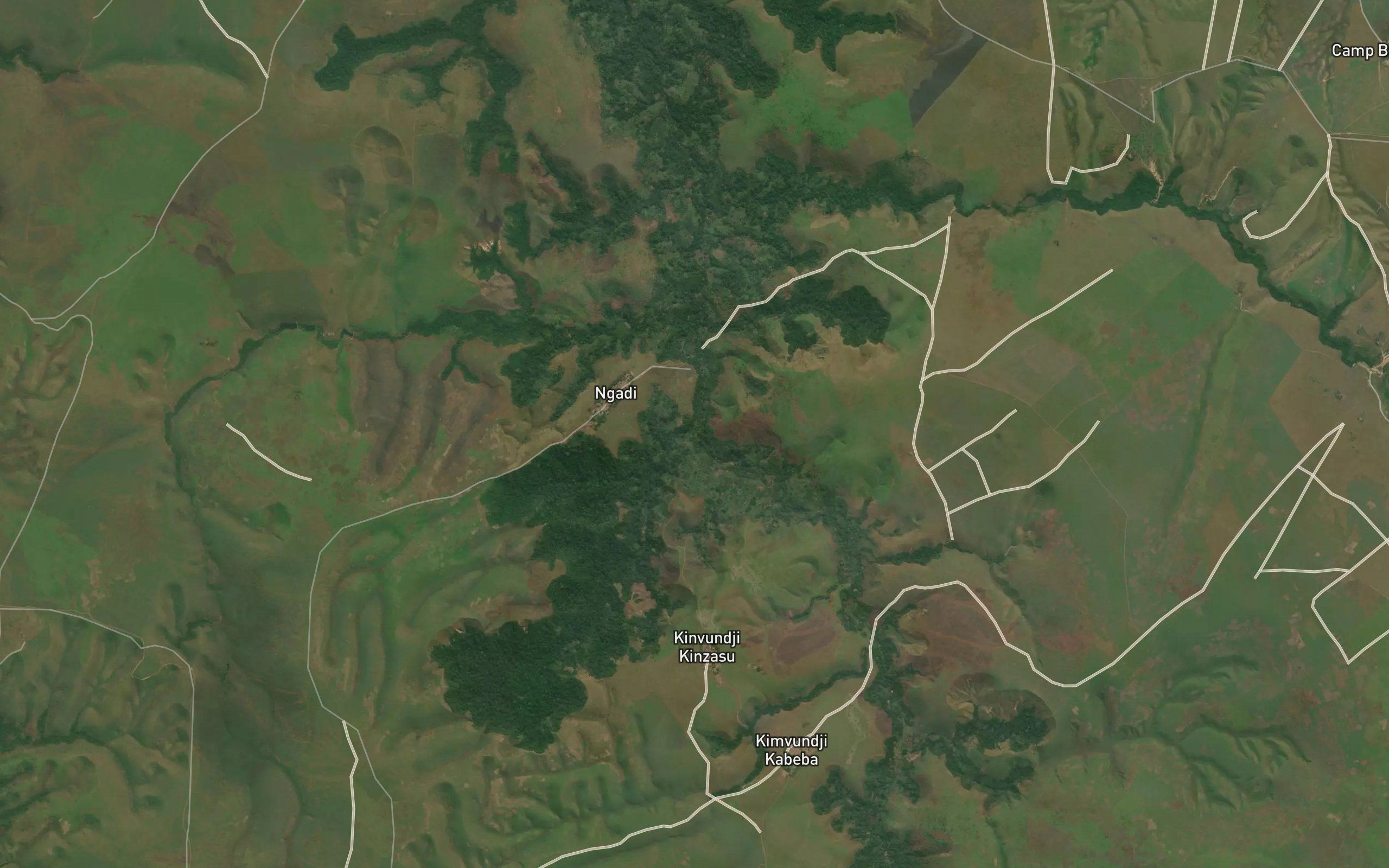 Makongo