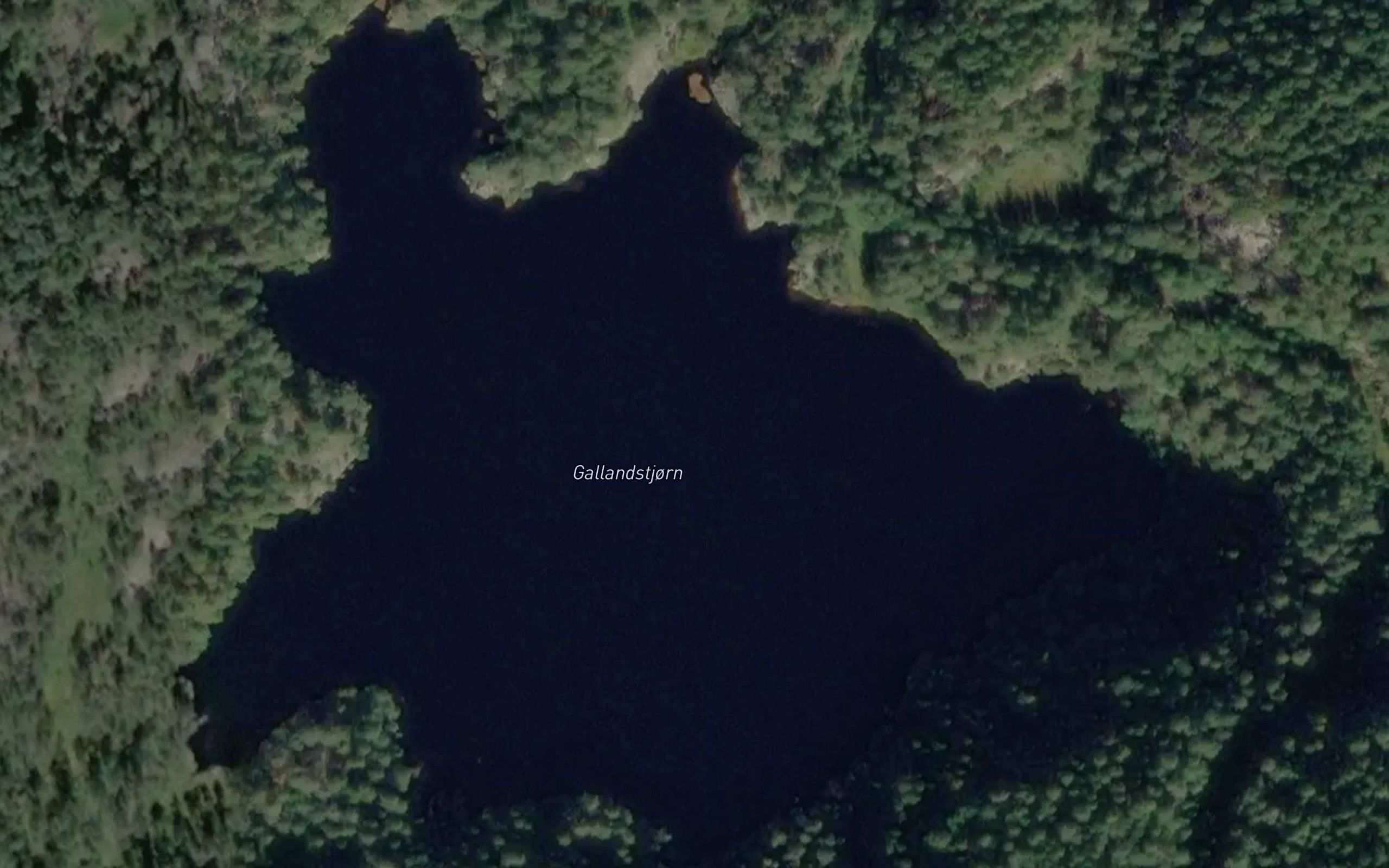 Gallandstjorn