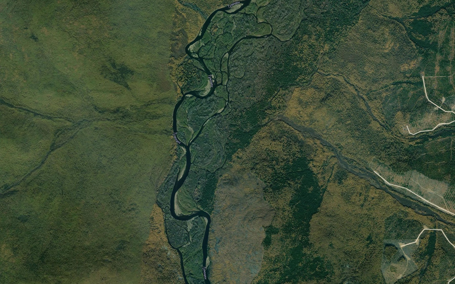 Satellite map of the Dlinnyy