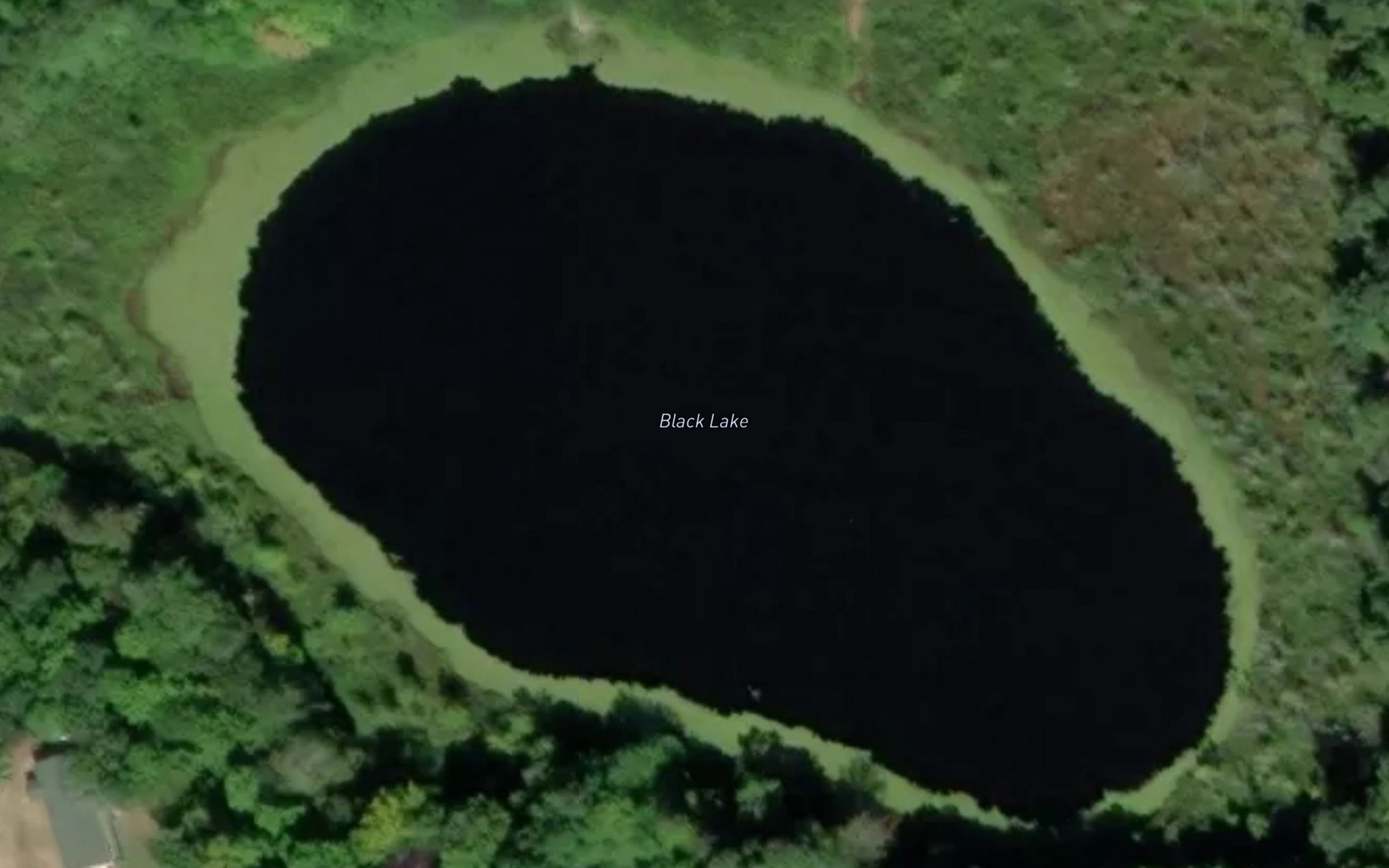 Satellite map of the Black Lake