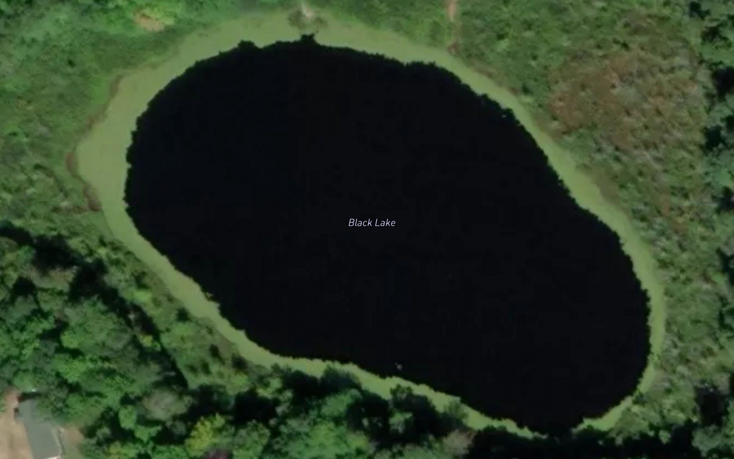Black Lake