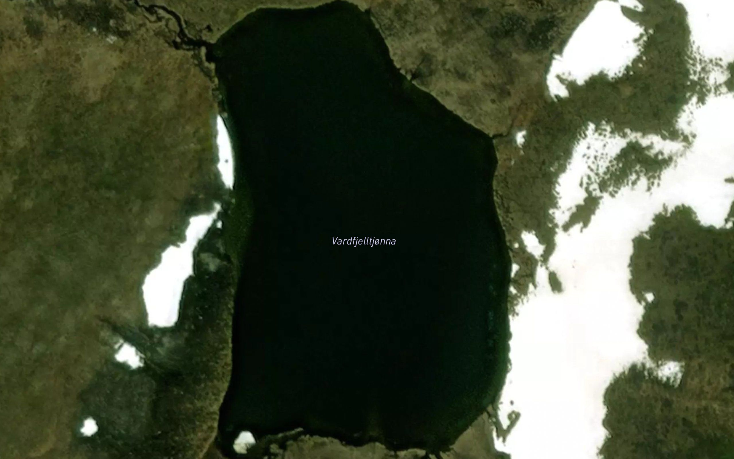 Vardfjelltjorna