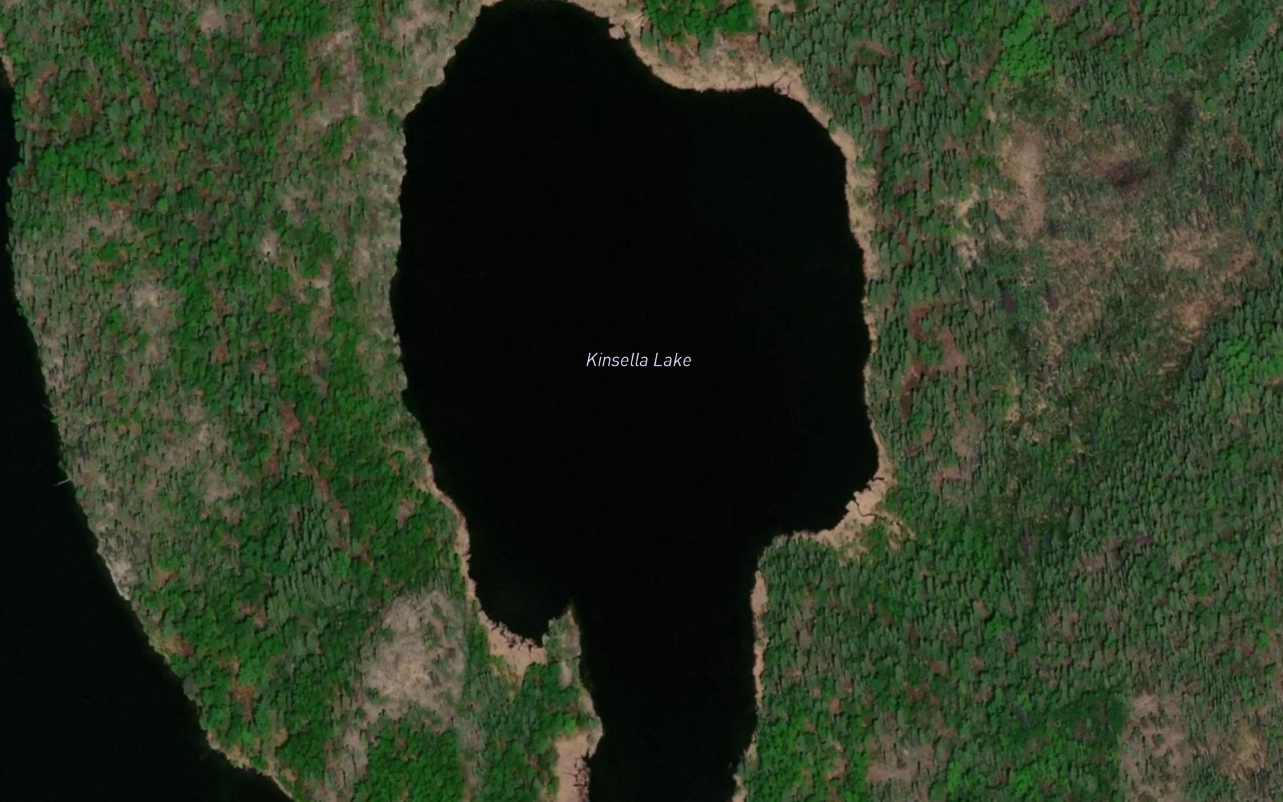 Satellite map of the Kinsella Lake