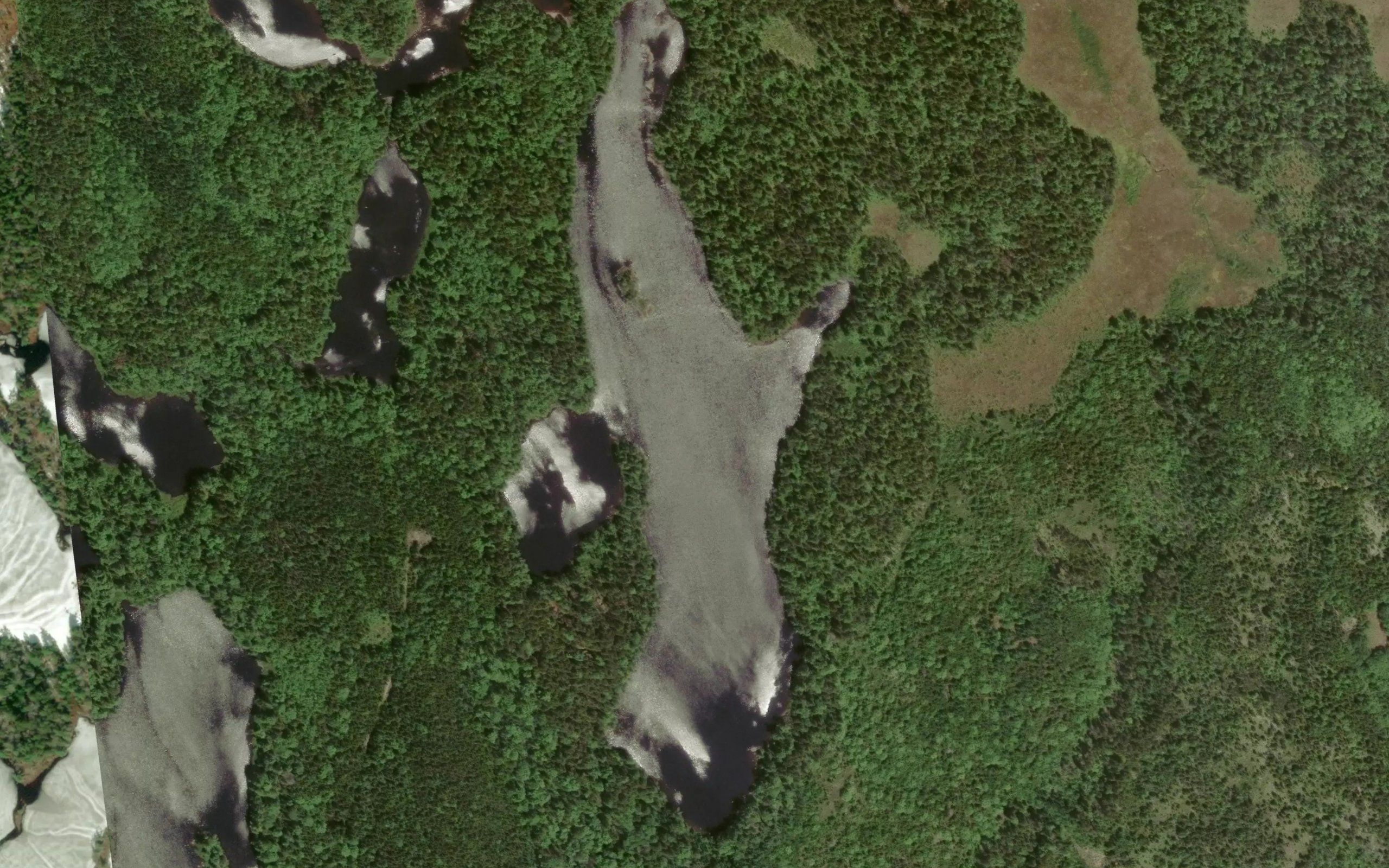 Kellys Lake