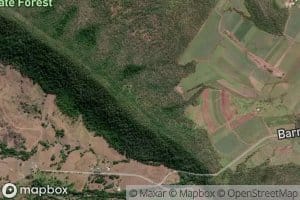 Left Branch Barren Creek