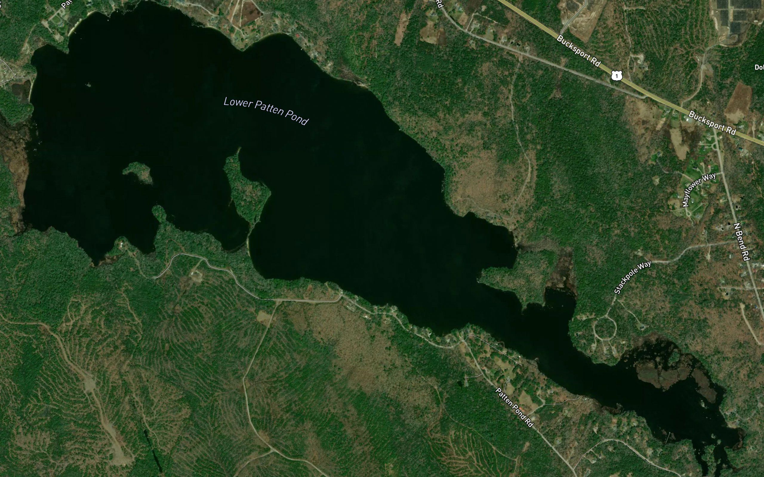 Lower Patten Pond
