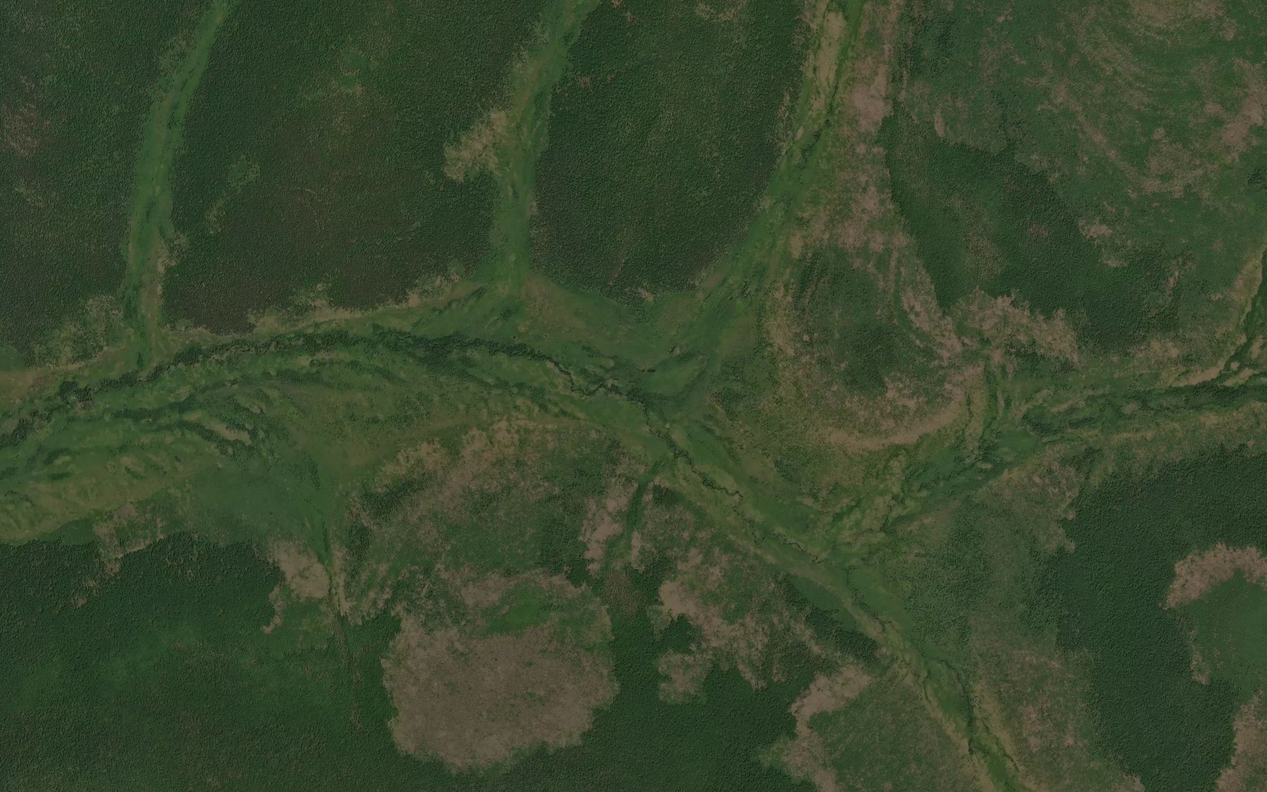 Satellite map of the Bergese