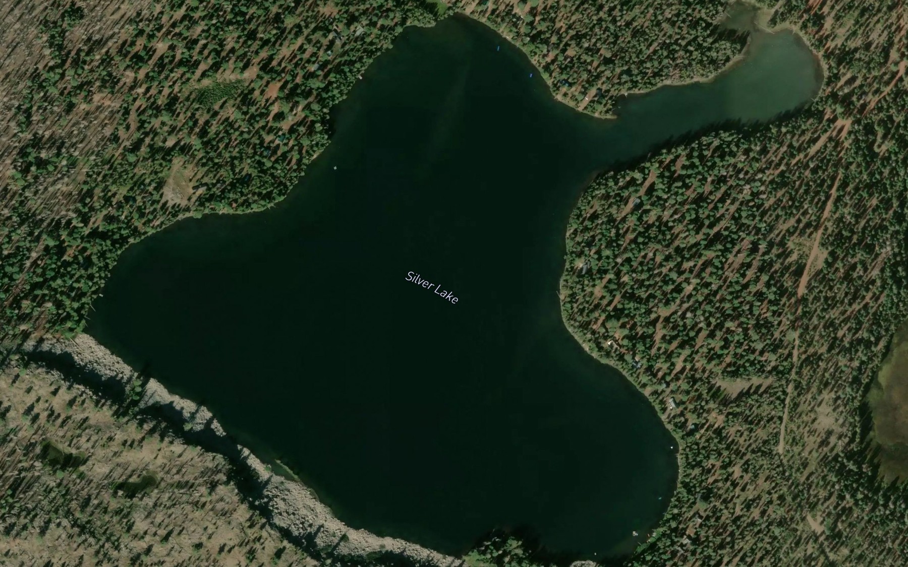 Satellite map of the Silver Lake