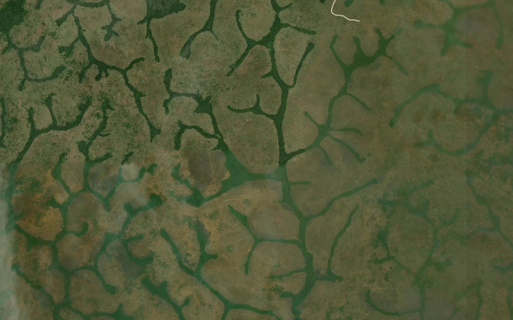 Satellite map of the Nazoubara