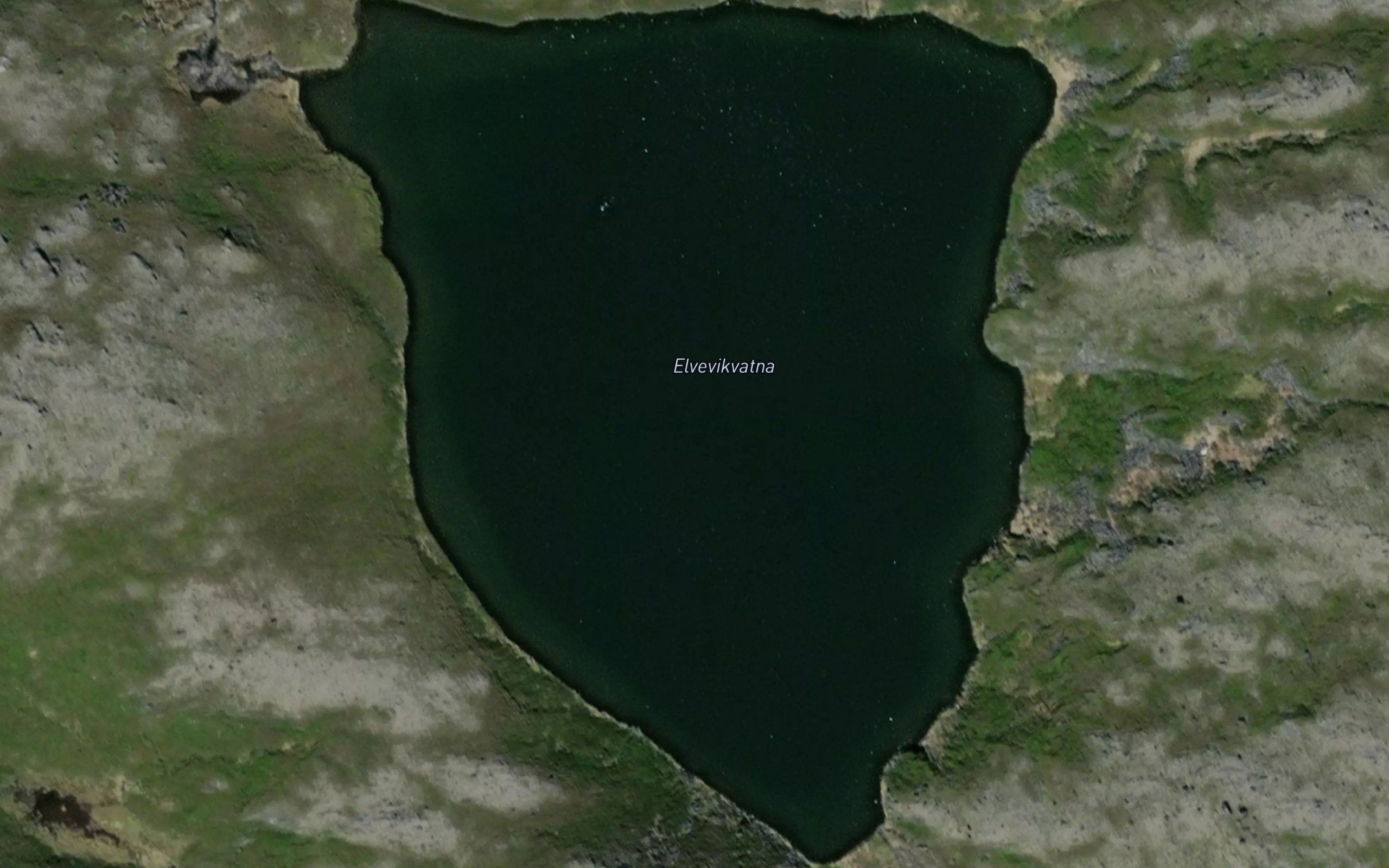 Elvevikvatna