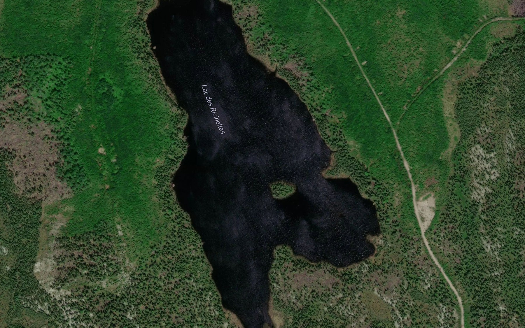 Satellite map of the Lac des Ricinelles