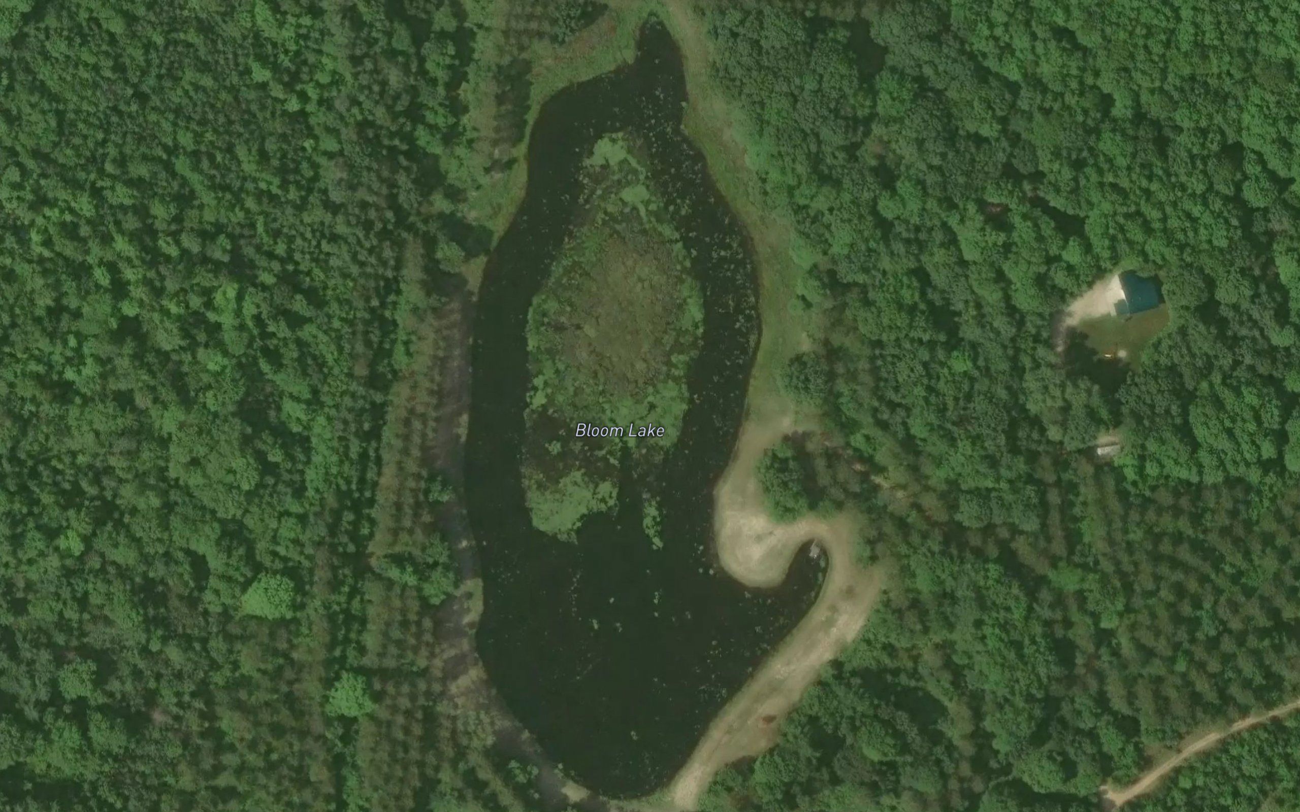 Bloom Lake