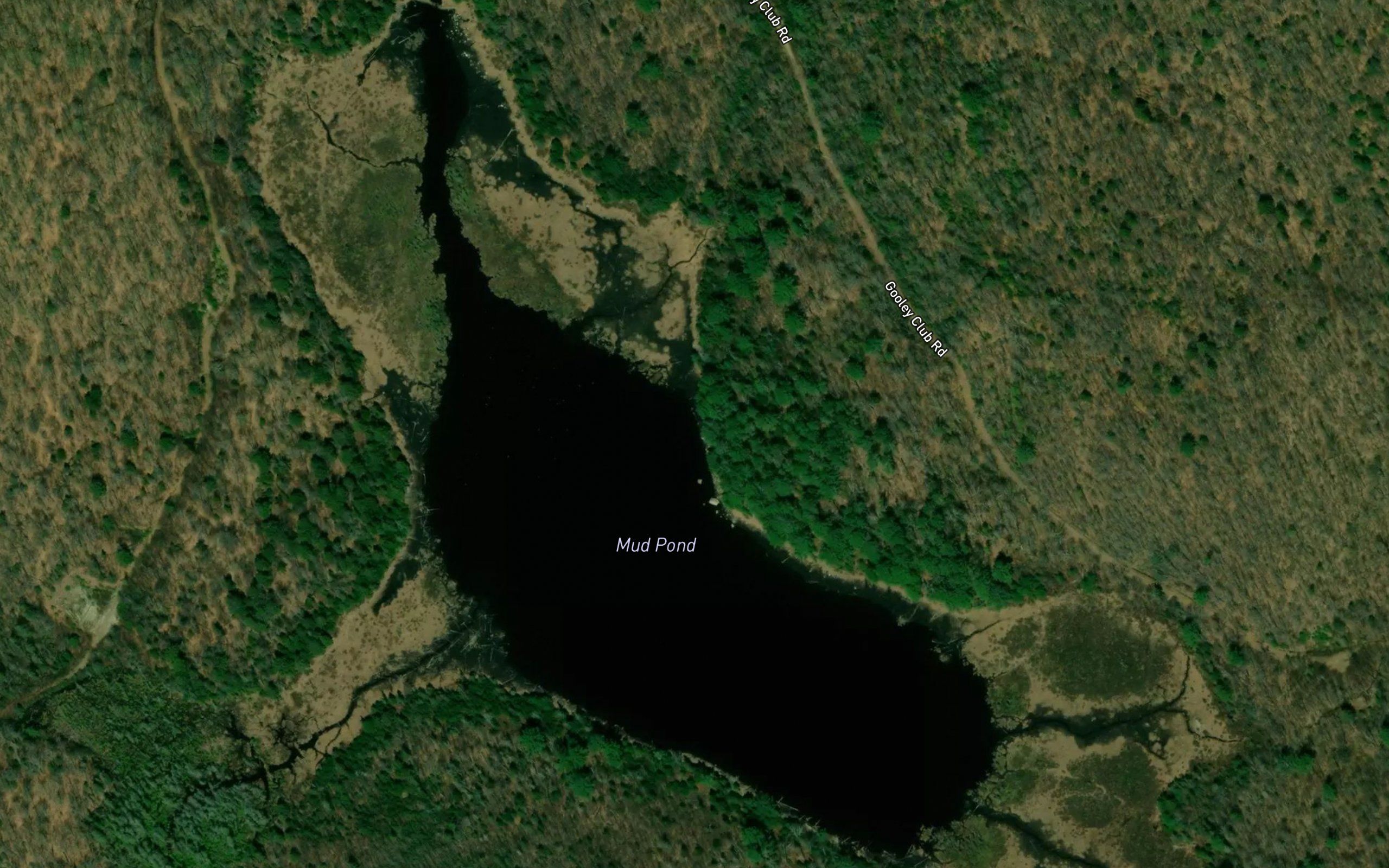 Mud Pond