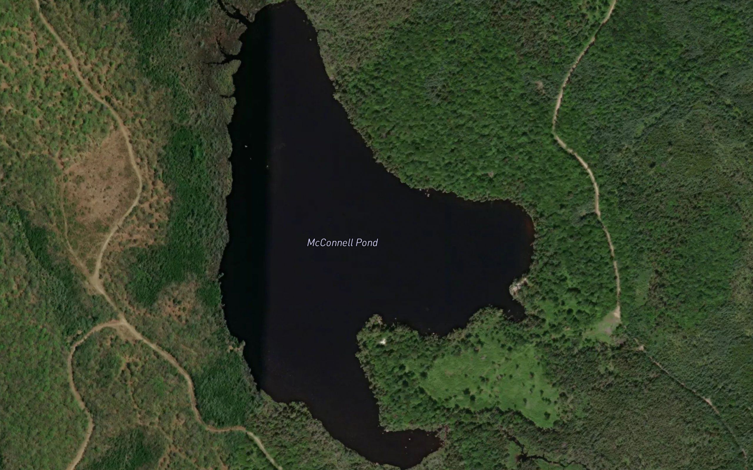 McConnell Pond