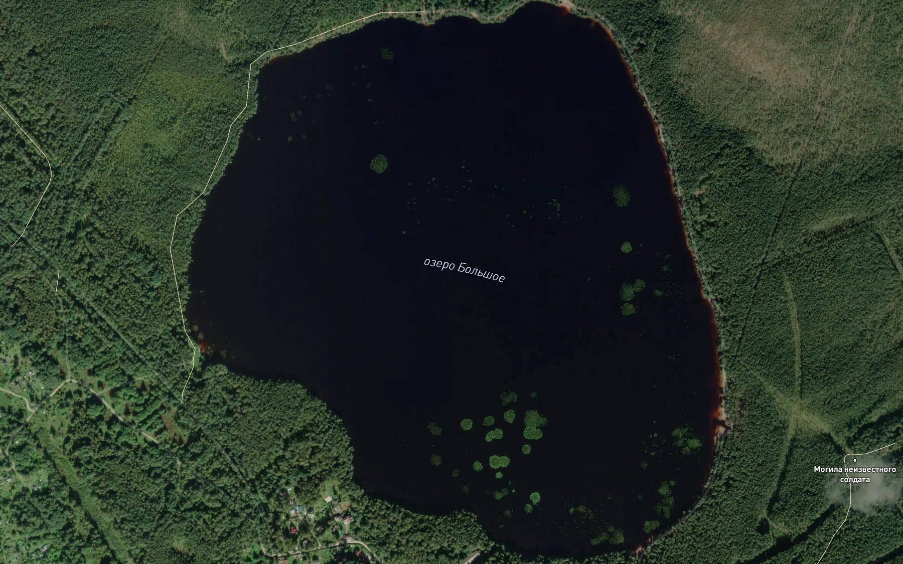 Satellite map of the Ozero Bol'shoye
