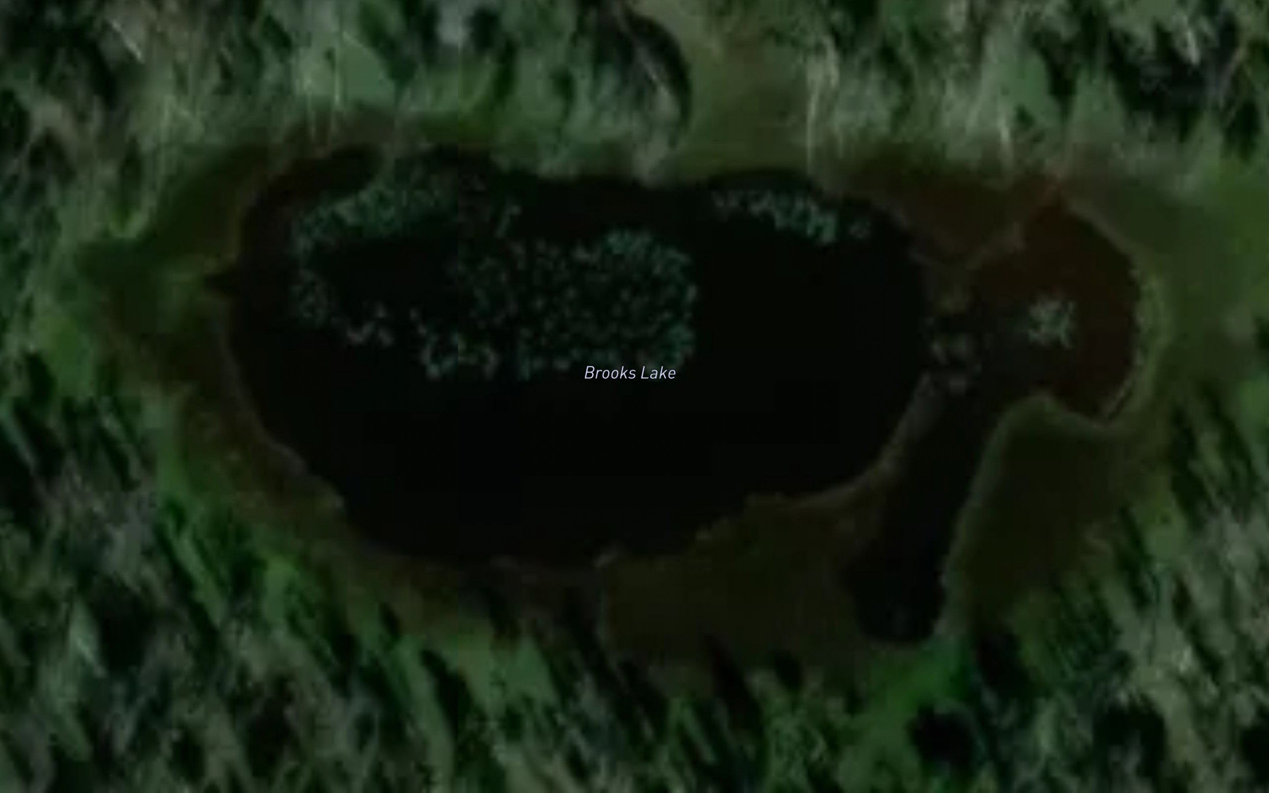 Brooks Lake