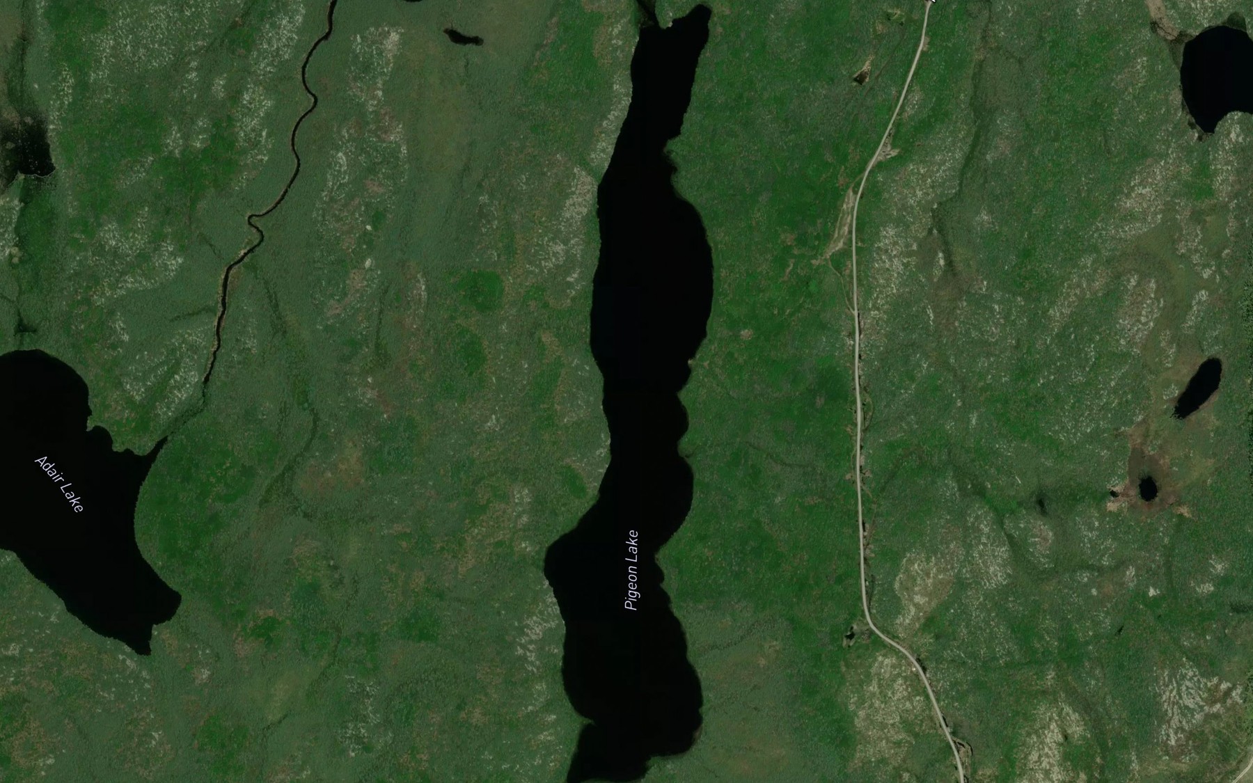 Satellite map of the Pigeon Lake