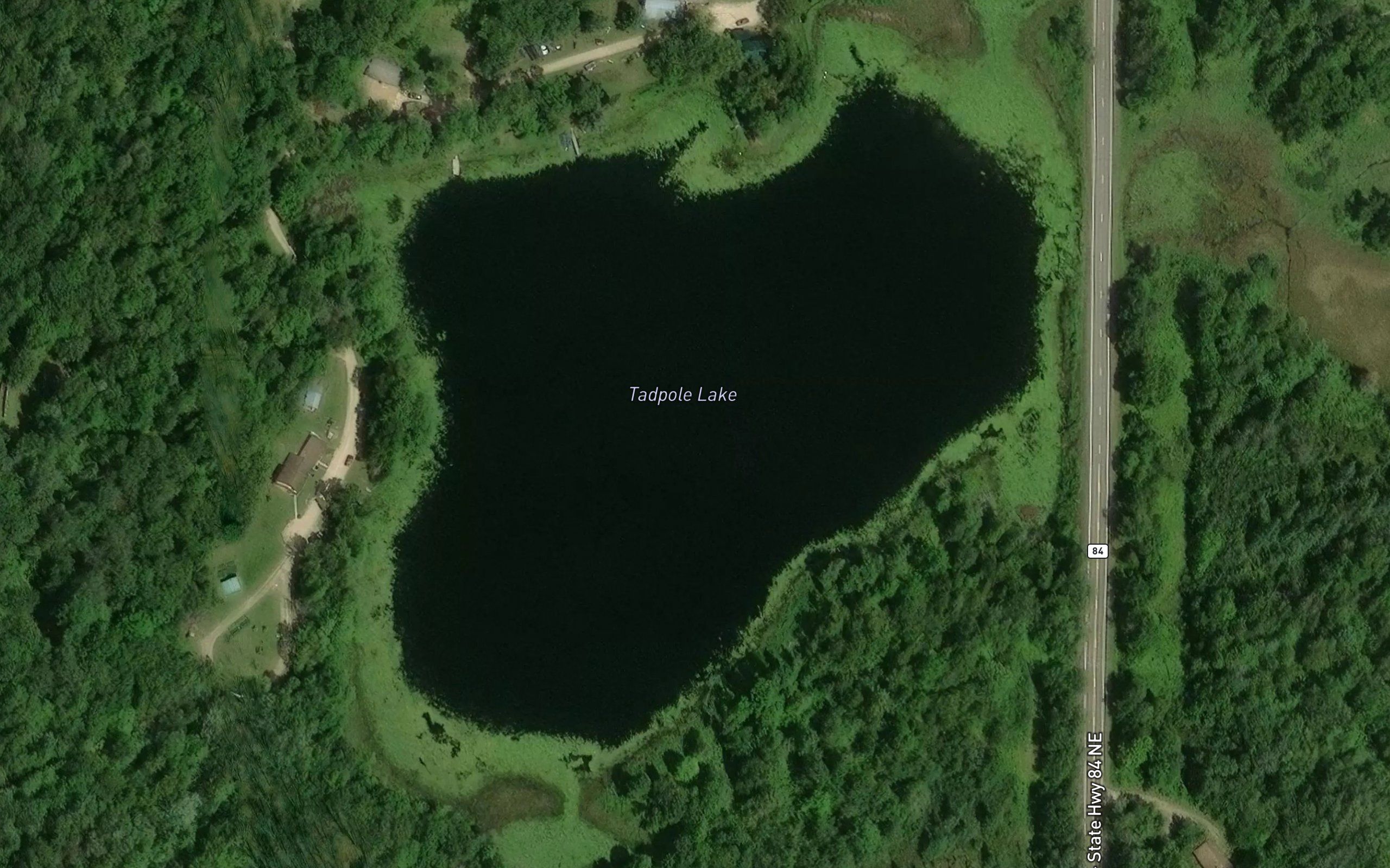 Tadpole Lake