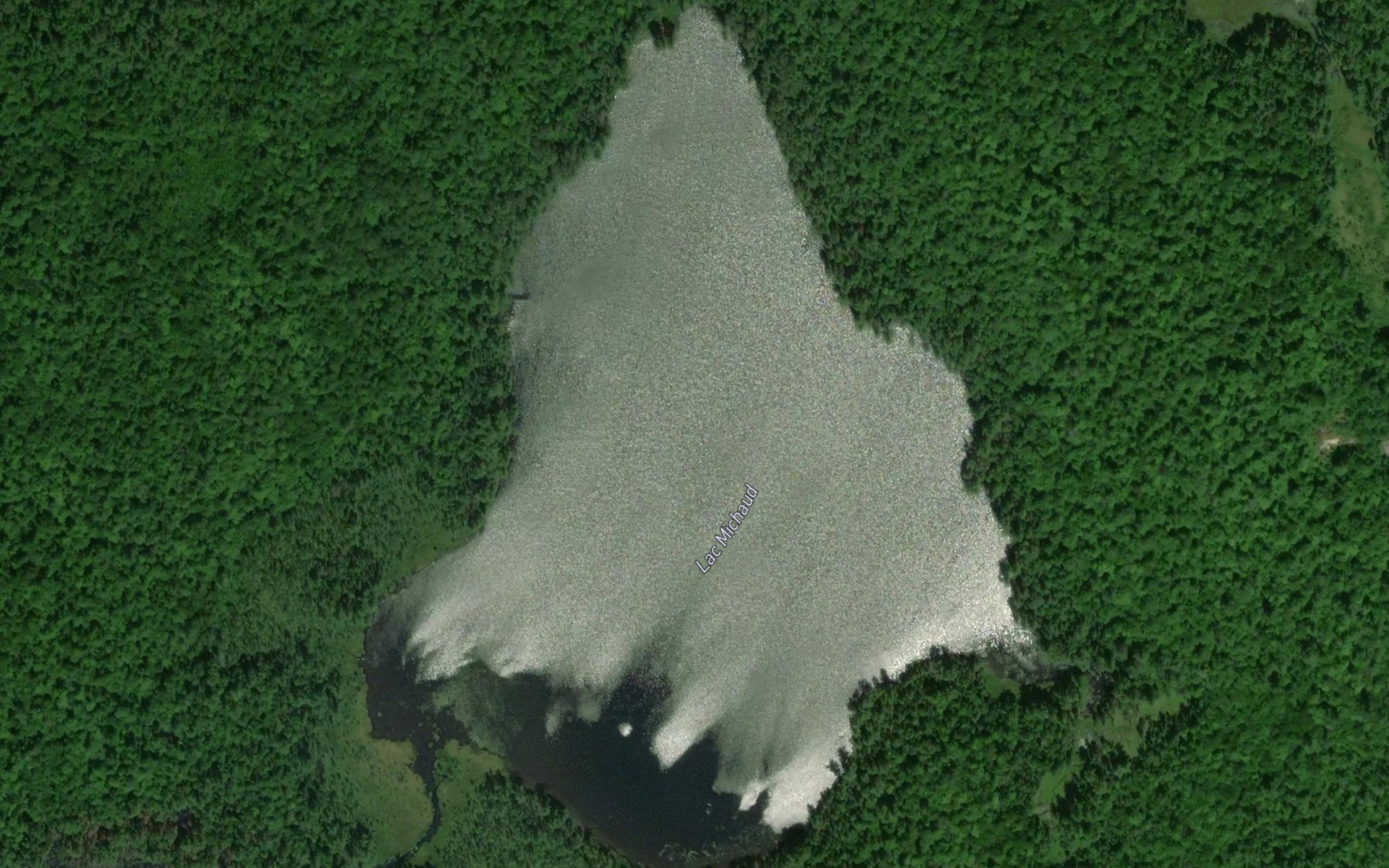 Satellite map of the Lac Michaud
